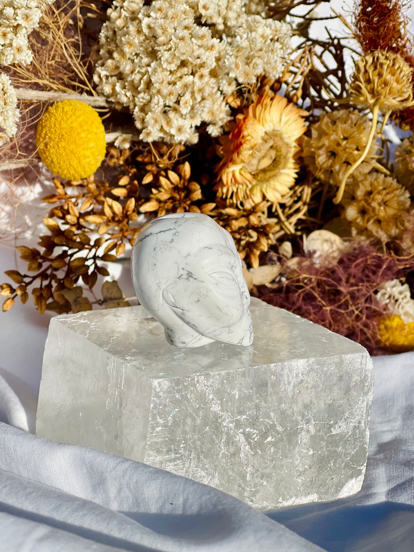Howlite Alien Head