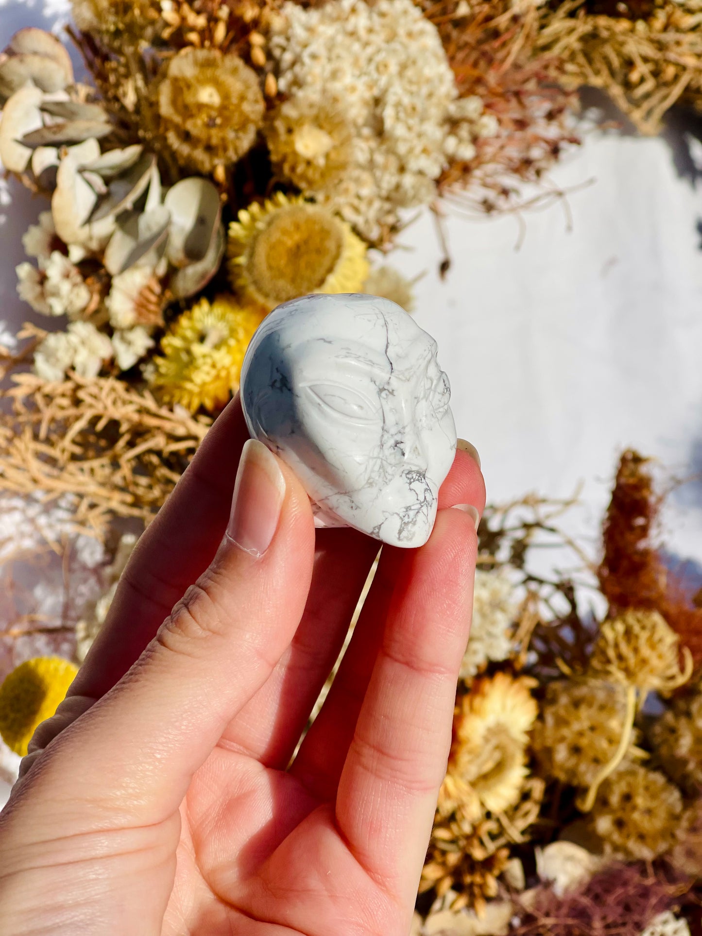 Howlite Alien Head