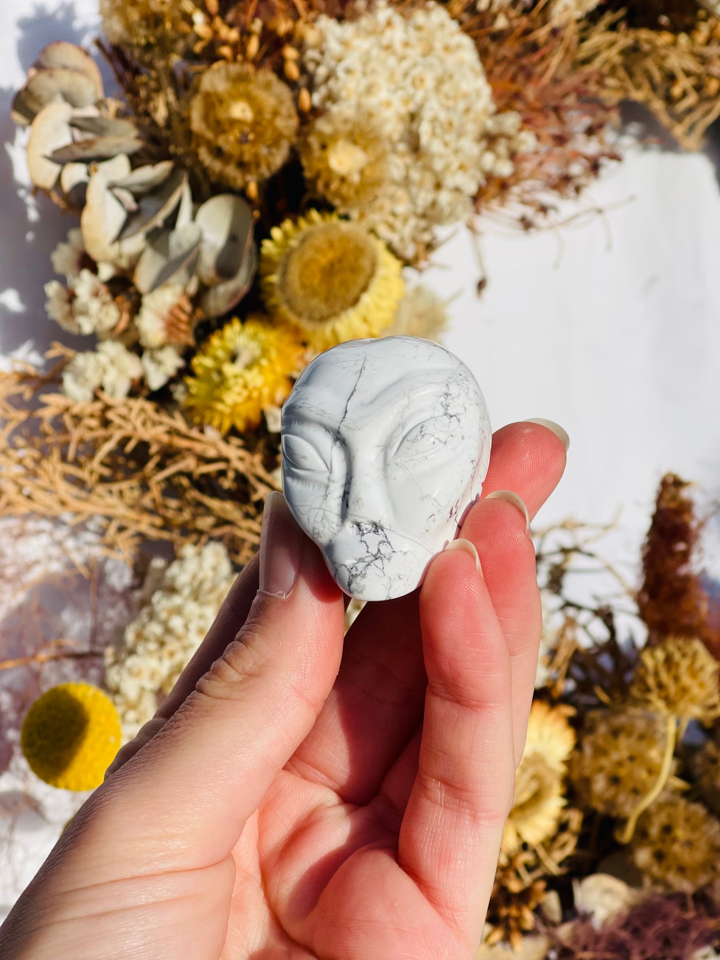 Howlite Alien Head