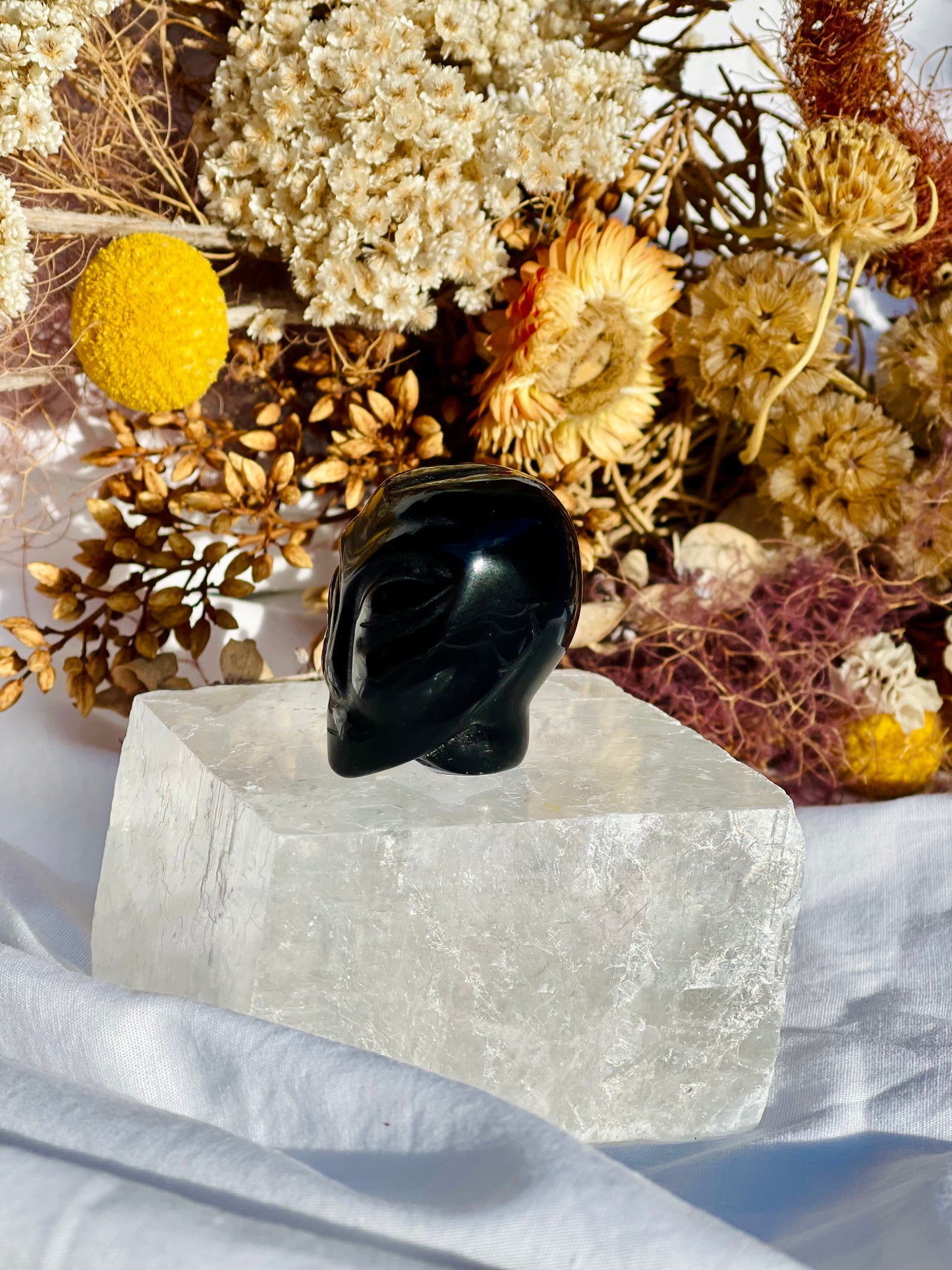 Black Obsidian Alien Head