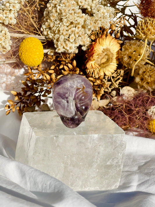 Amethyst Alien Head