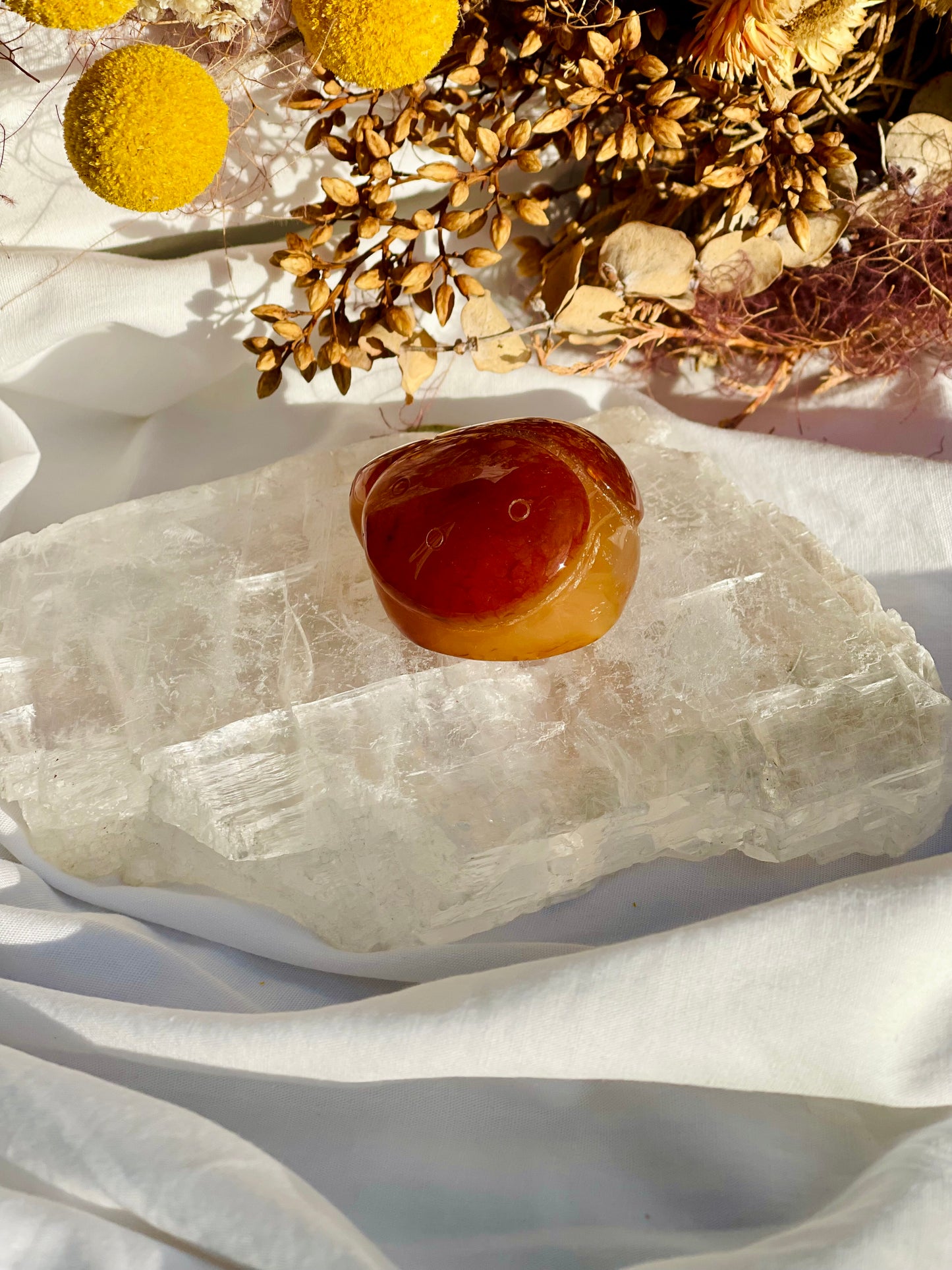 Carnelian Ladybug