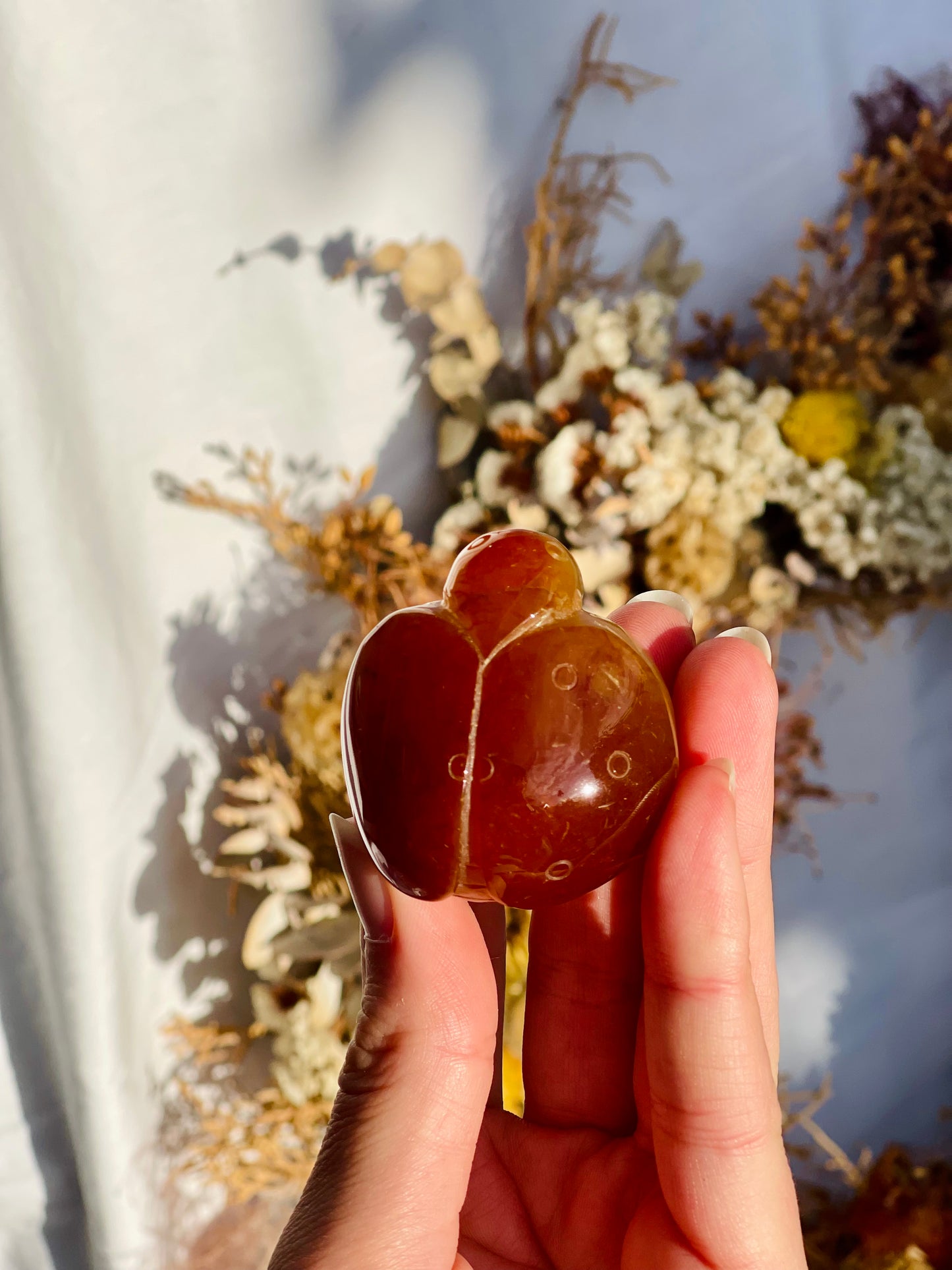 Carnelian Ladybug