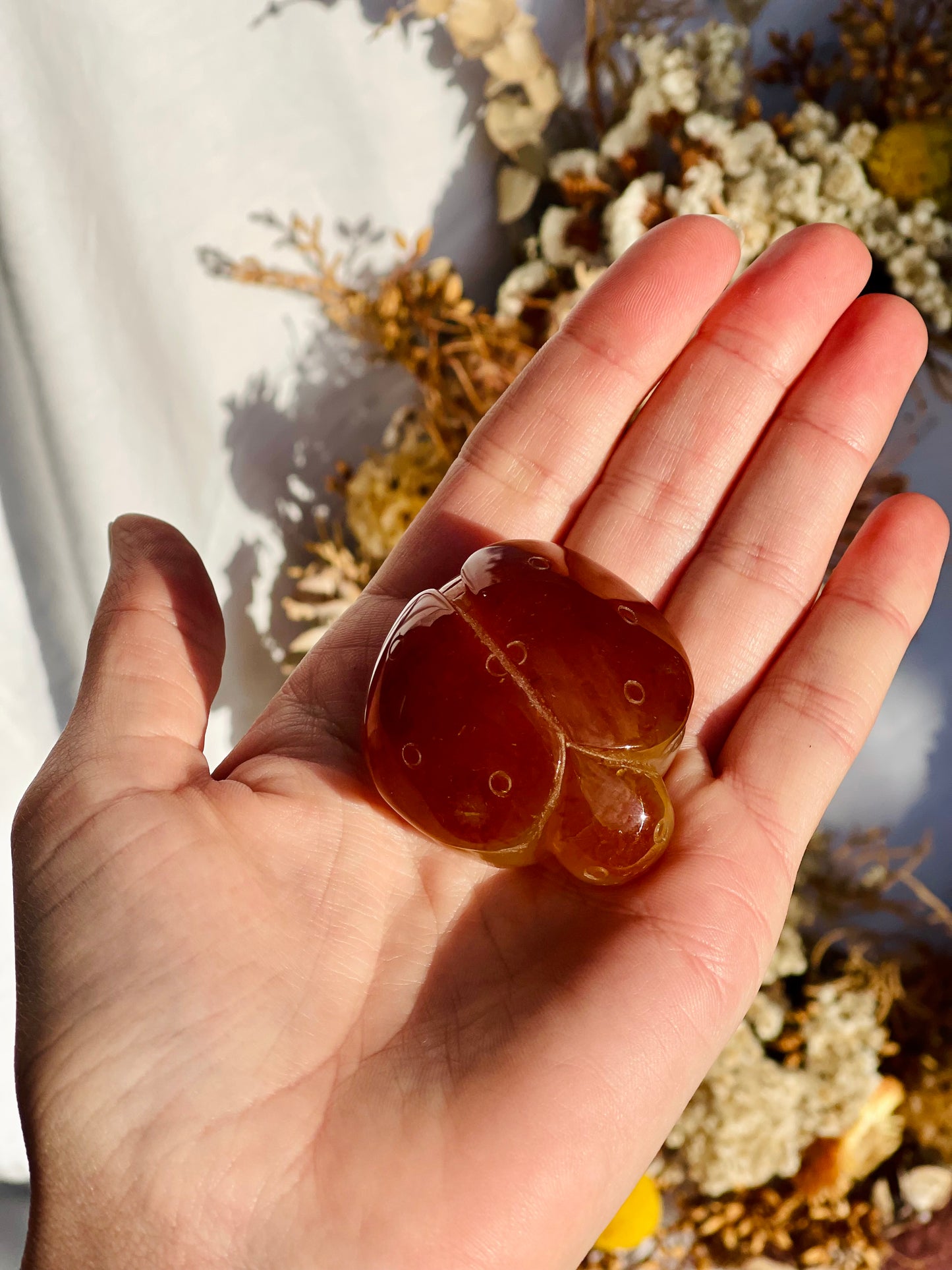Carnelian Ladybug