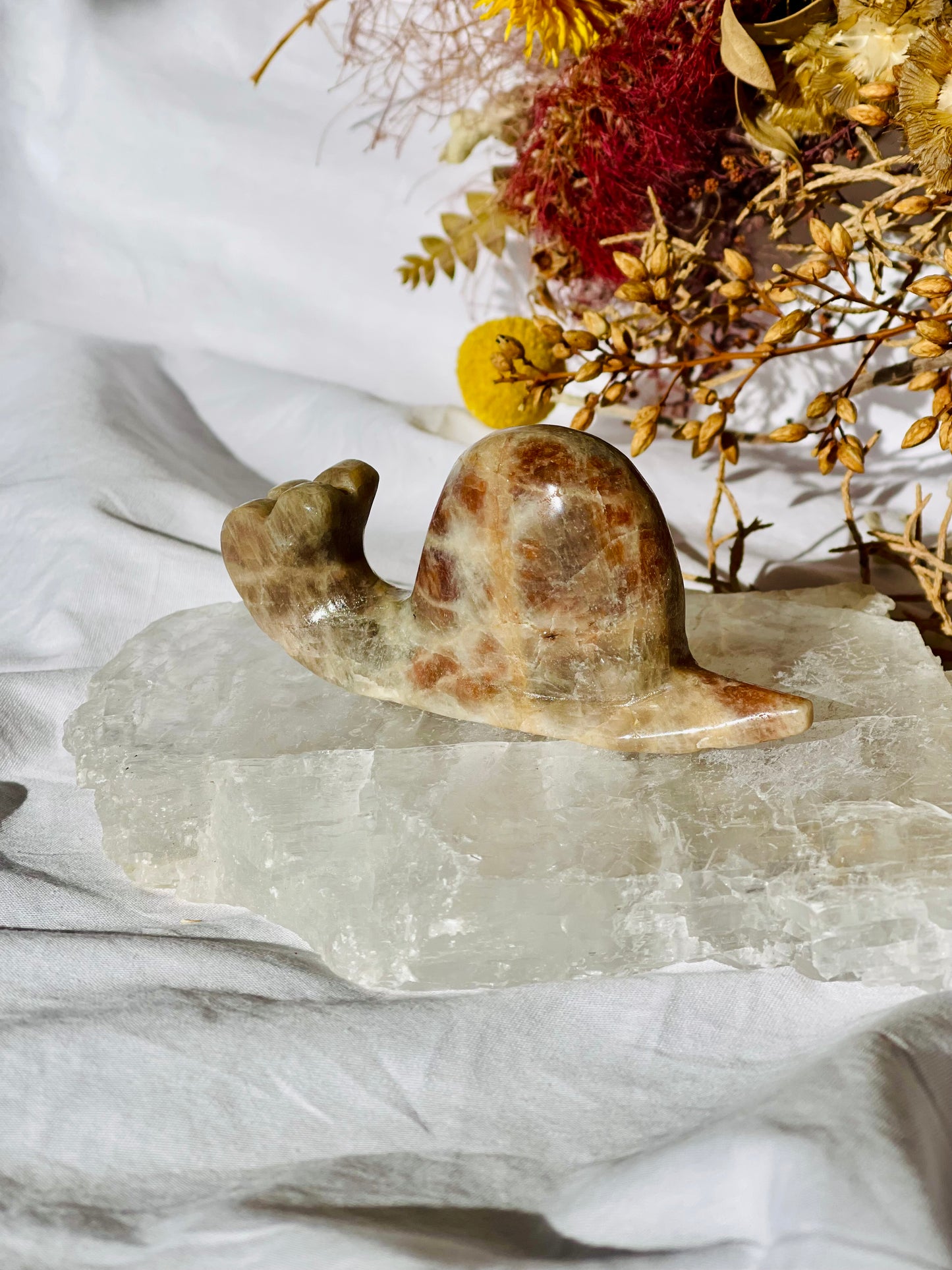 Moonstone | Sunstone Snail