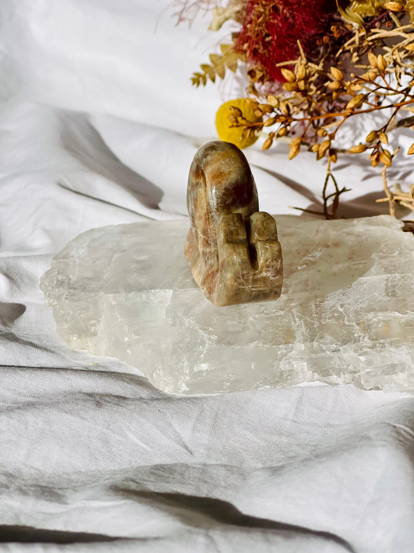 Moonstone | Sunstone Snail