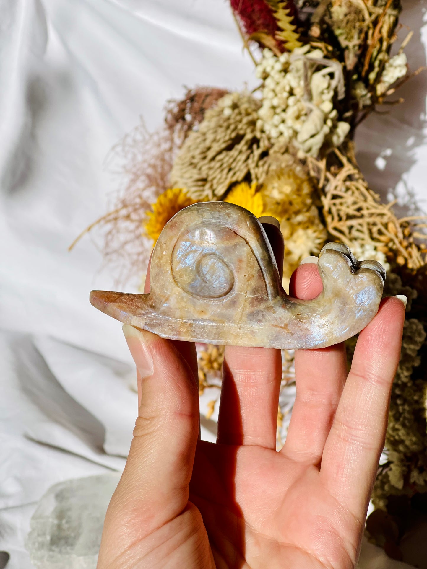 Moonstone | Sunstone Snail
