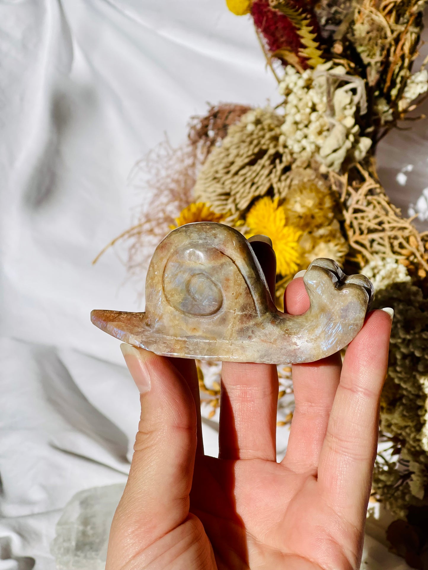 Moonstone | Sunstone Snail