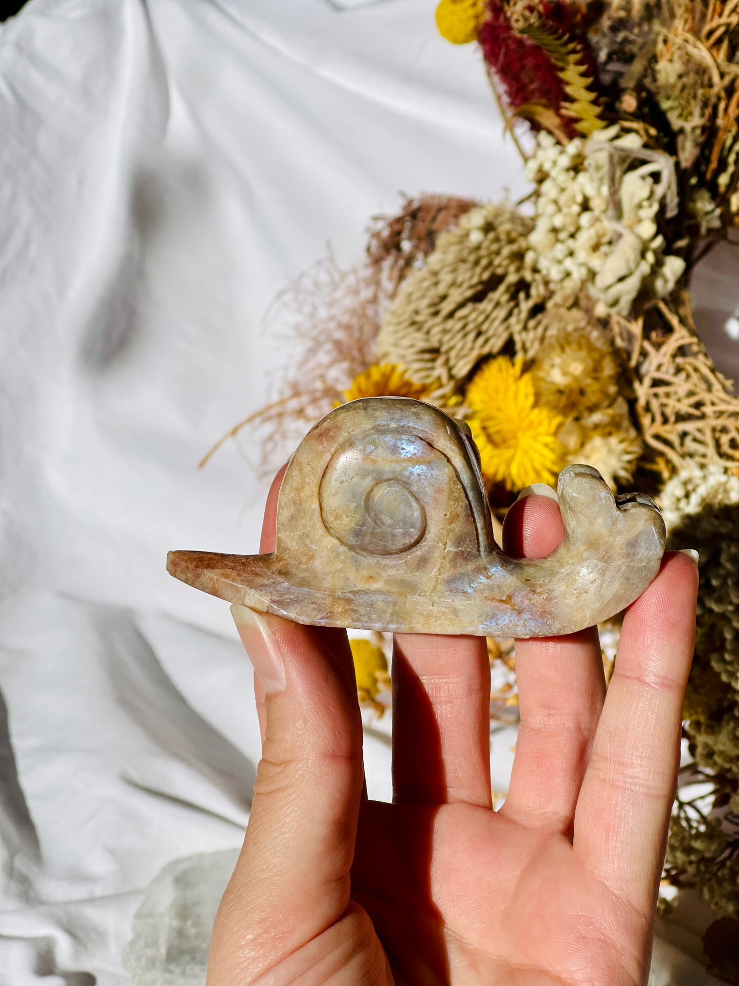 Moonstone | Sunstone Snail