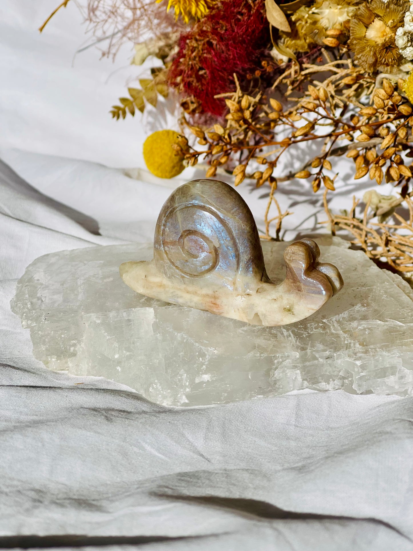 Moonstone | Sunstone | Smokey Quartz Snail