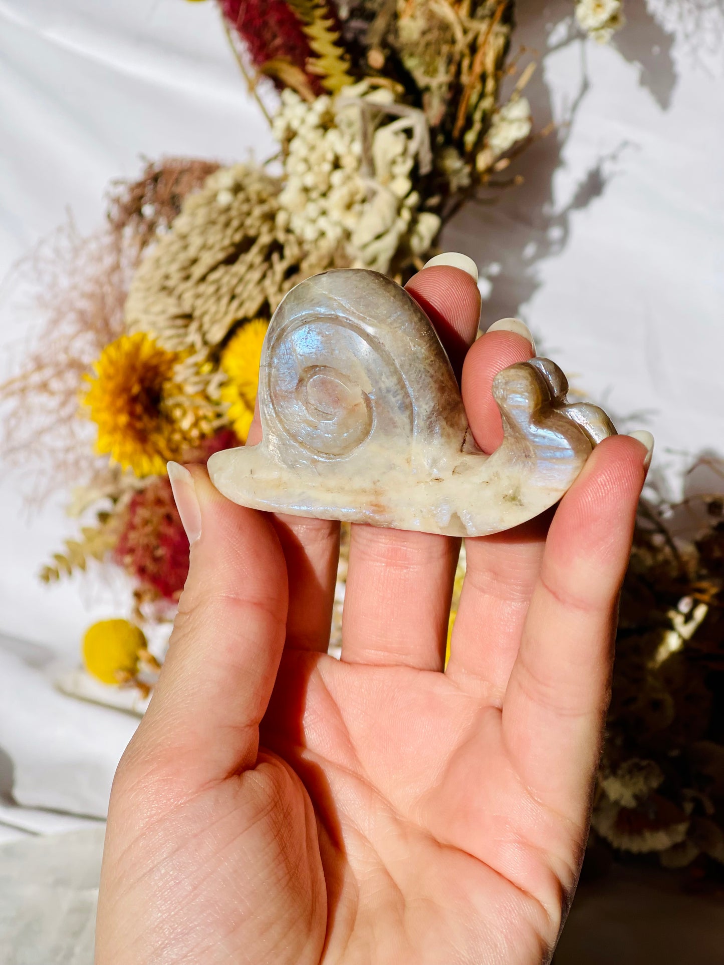 Moonstone | Sunstone | Smokey Quartz Snail