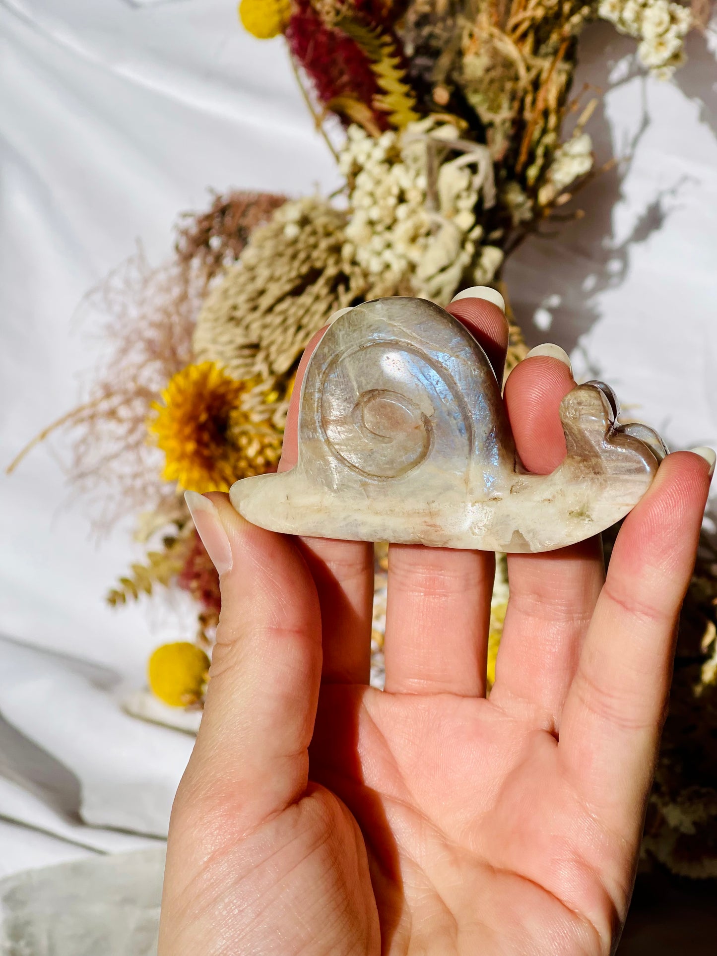 Moonstone | Sunstone | Smokey Quartz Snail