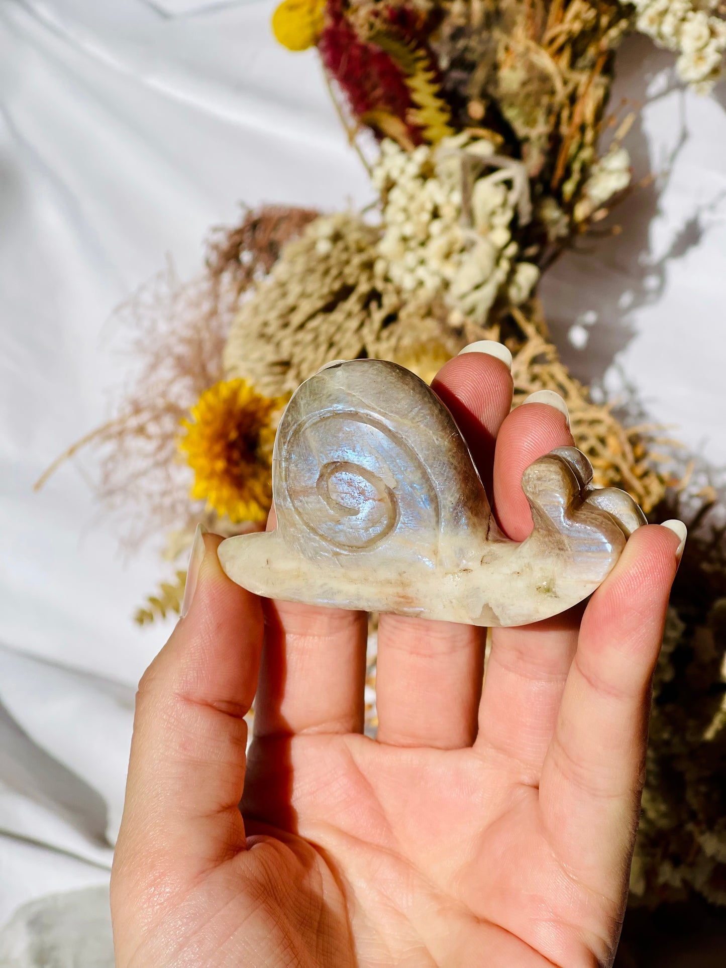 Moonstone | Sunstone | Smokey Quartz Snail