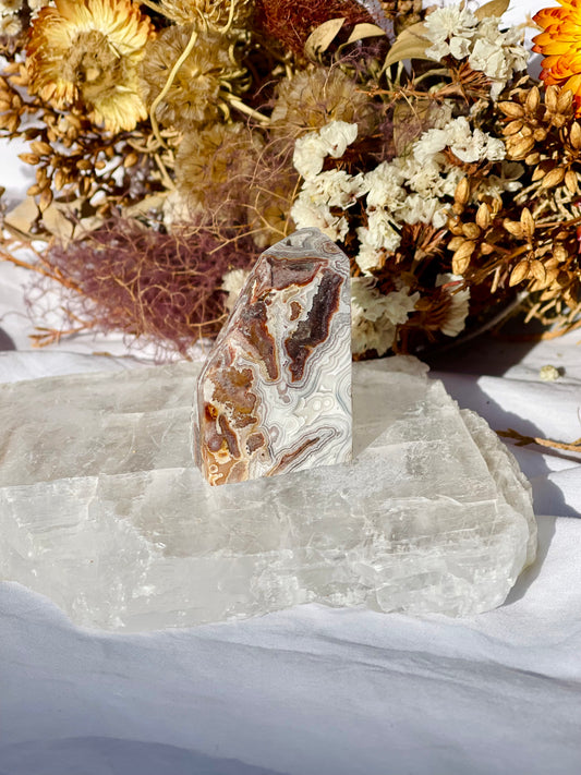 Mexican lace Agate Freeform B