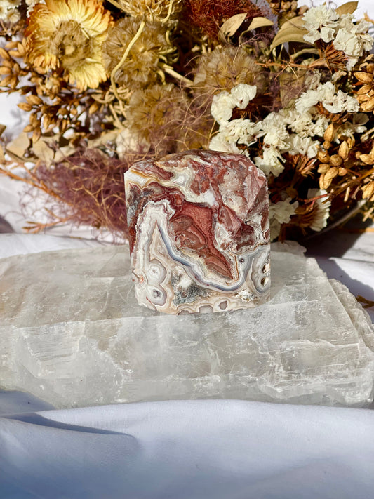 Mexican lace Agate Freeform C