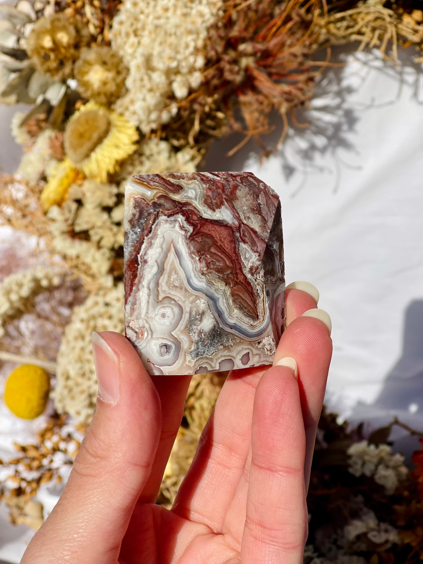 Mexican lace Agate Freeform C