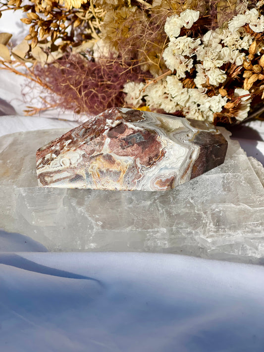 Mexican Lace Agate Freeform D