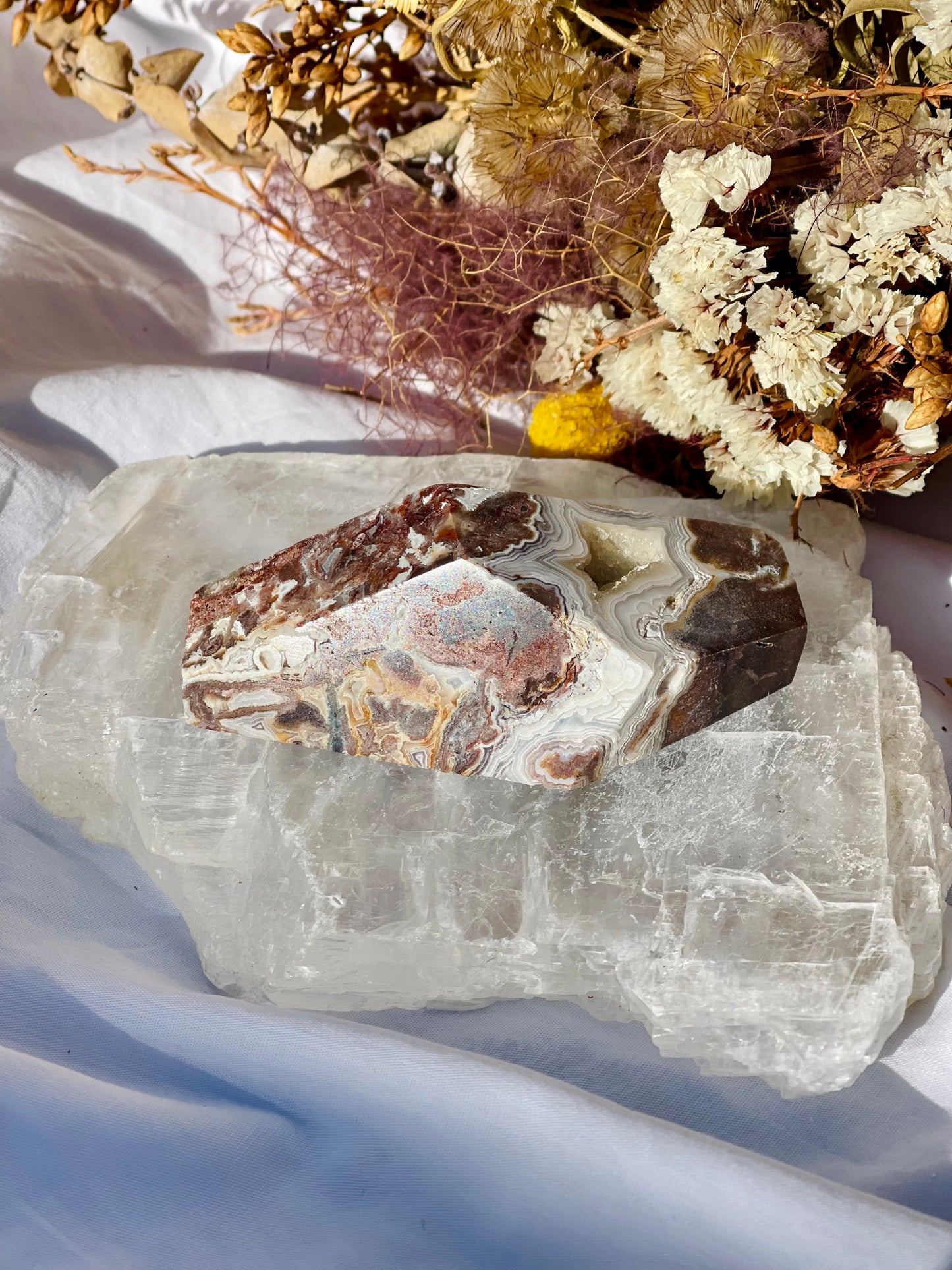 Mexican Lace Agate Freeform D