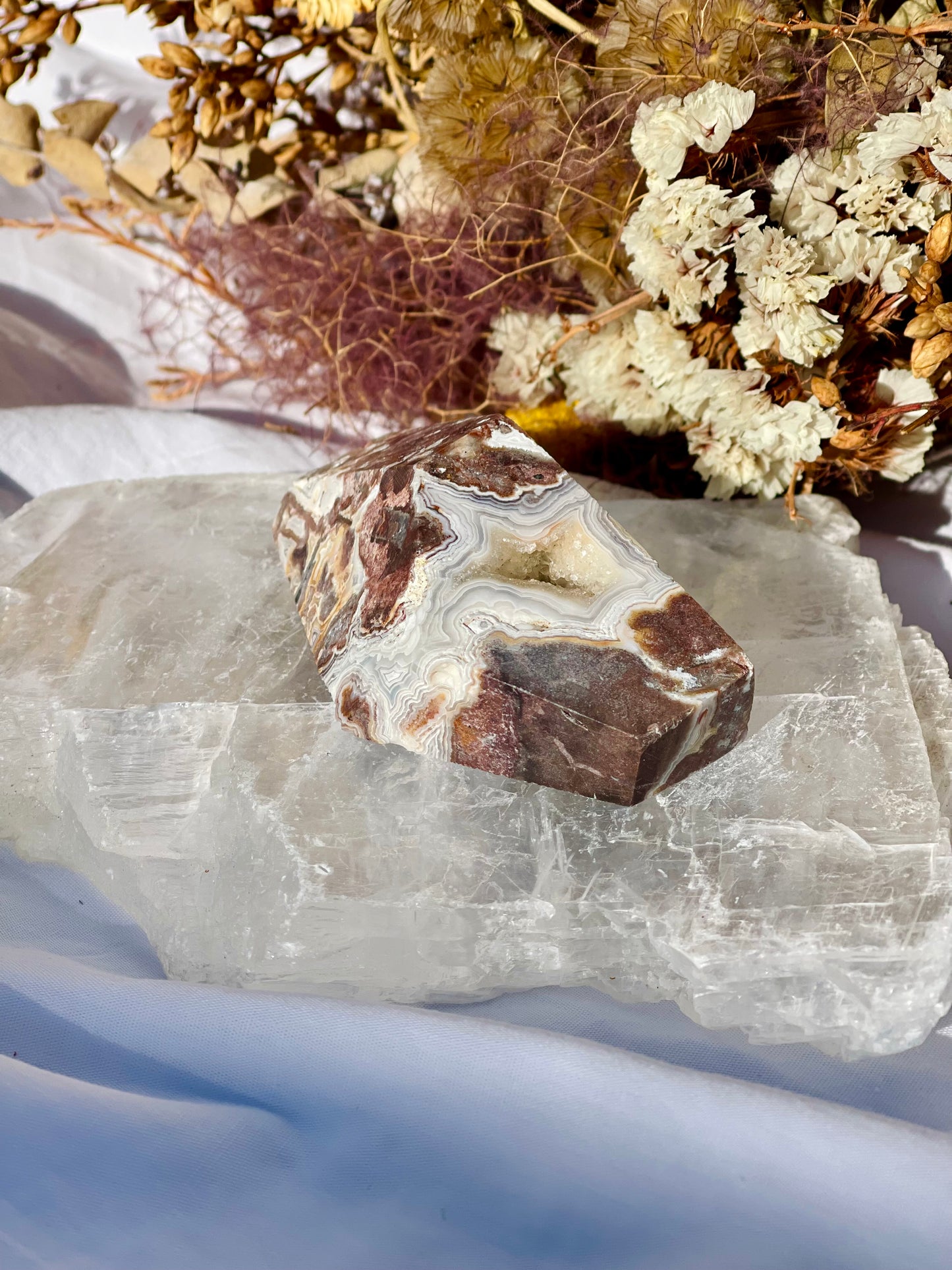Mexican Lace Agate Freeform D