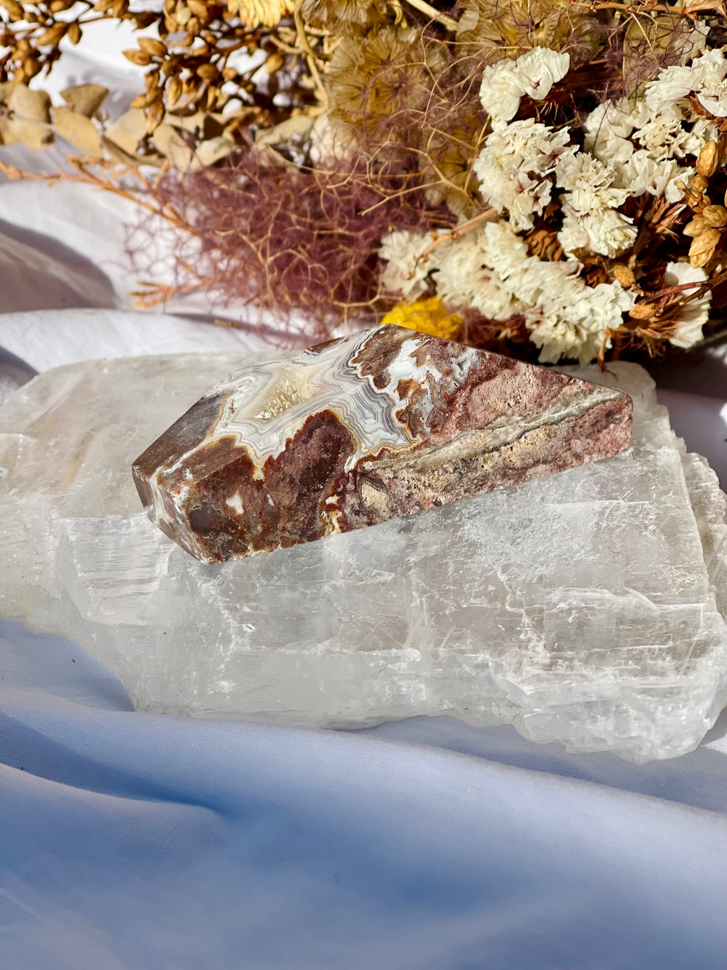 Mexican Lace Agate Freeform D