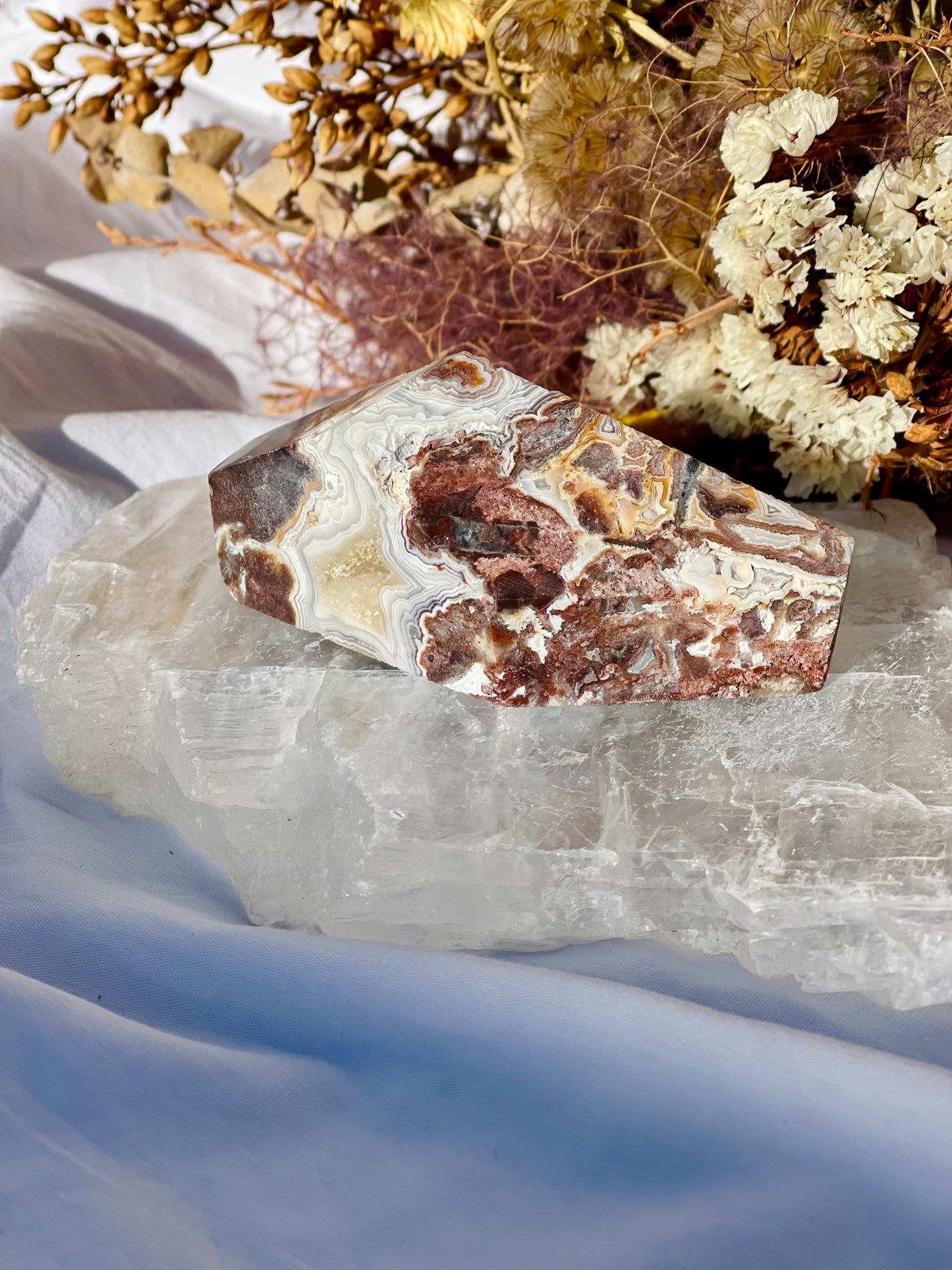 Mexican Lace Agate Freeform D