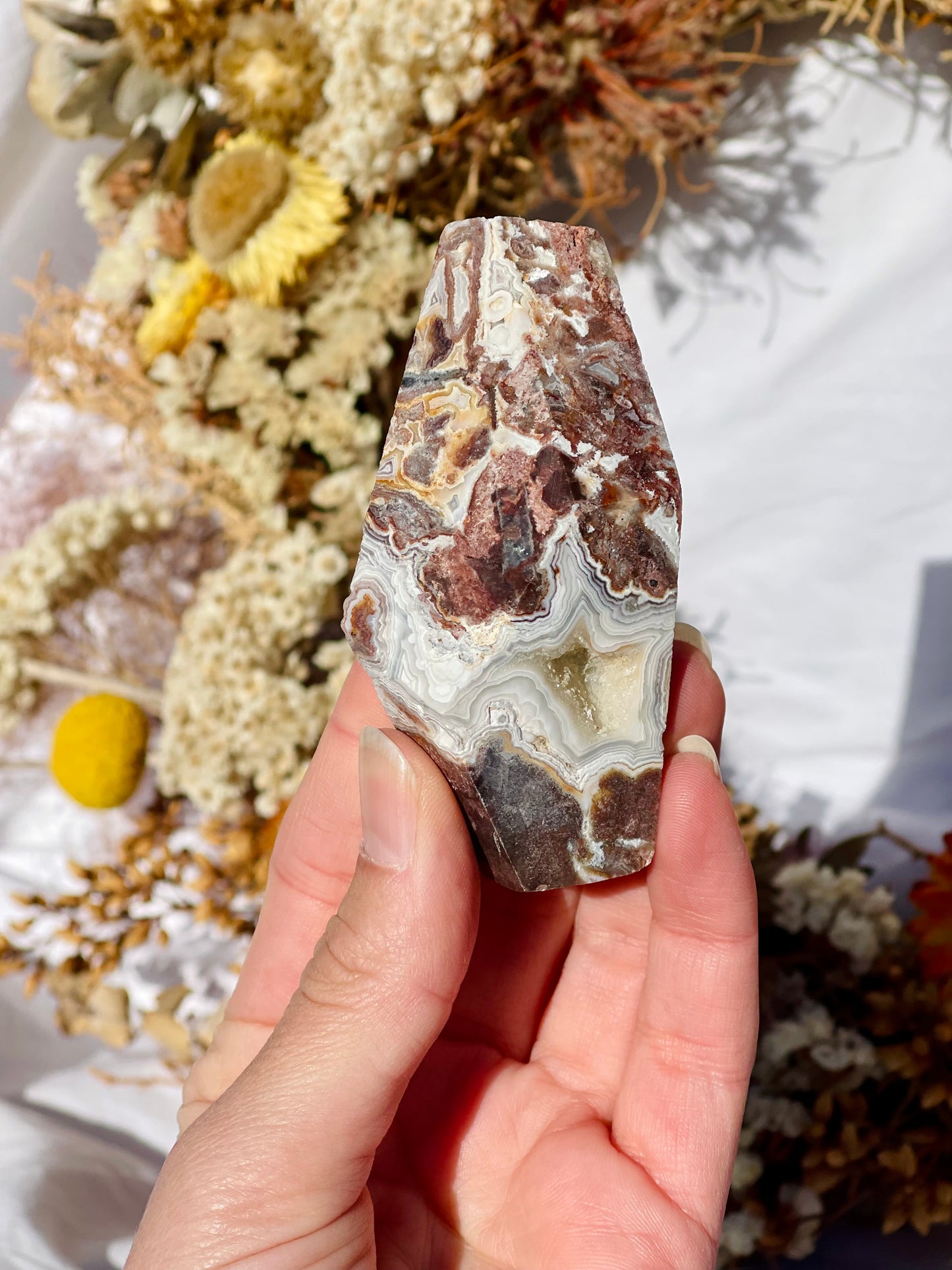 Mexican Lace Agate Freeform D