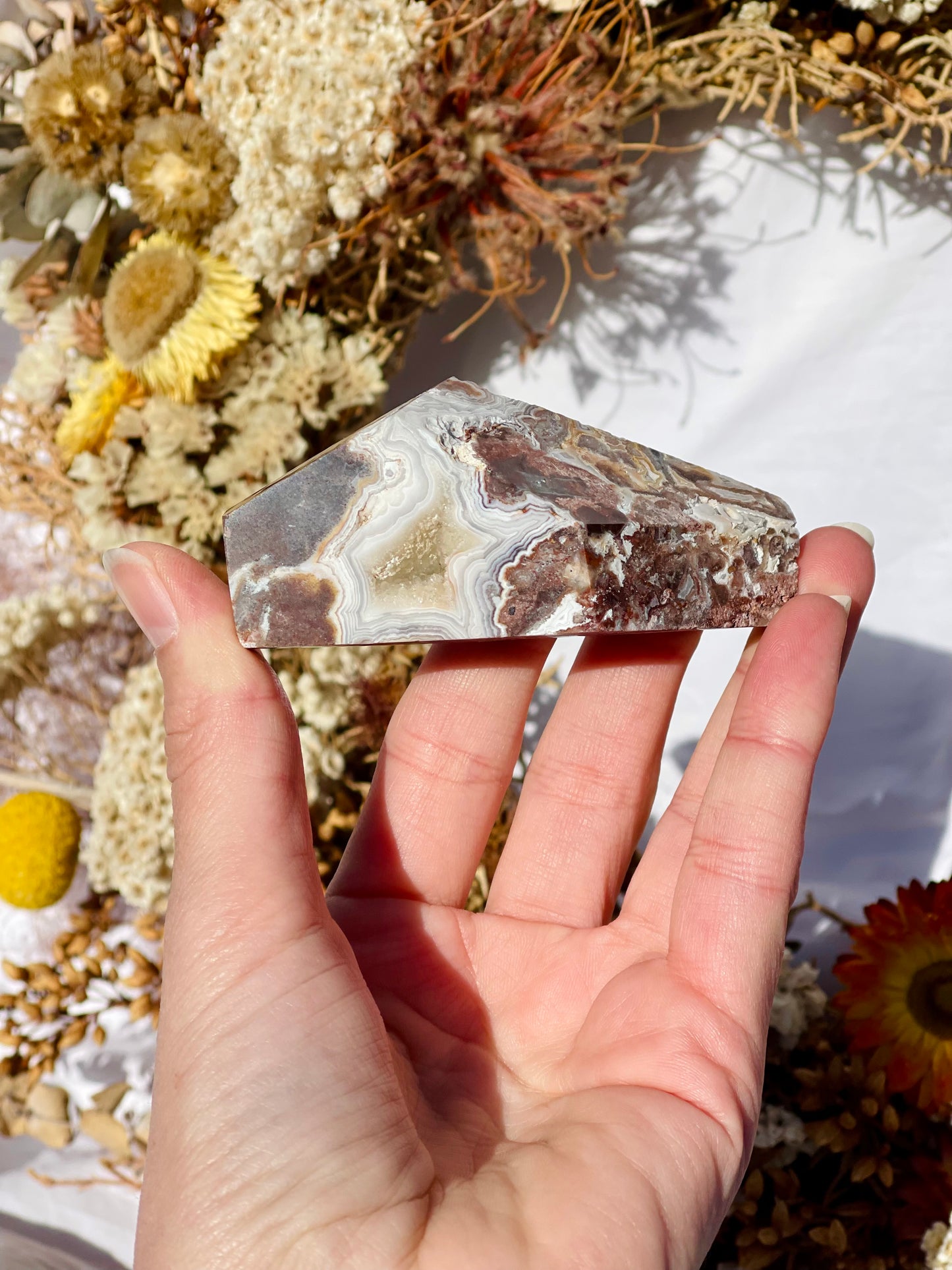 Mexican Lace Agate Freeform D