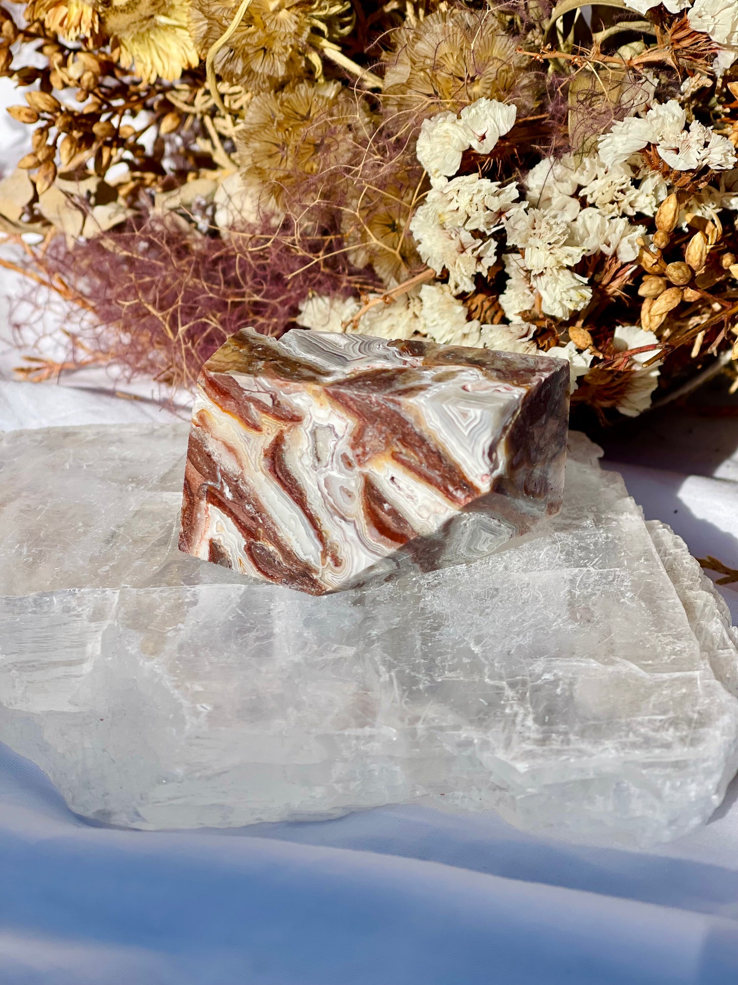 Mexican Lace Agate Freeform E