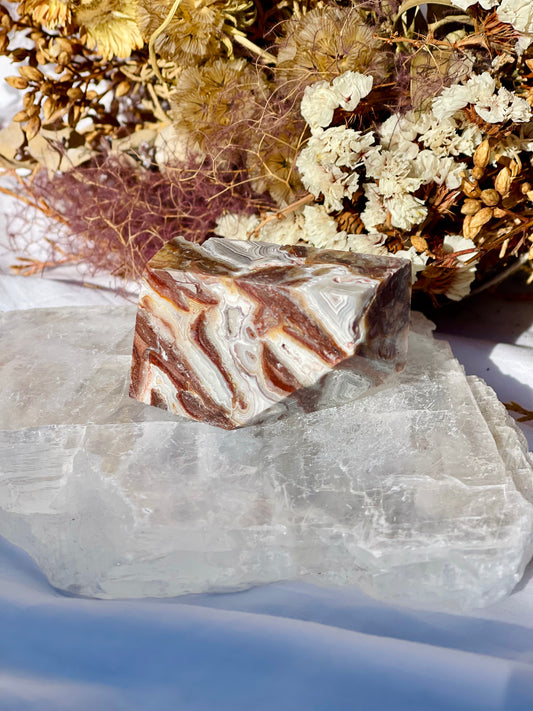 Mexican Lace Agate Freeform E