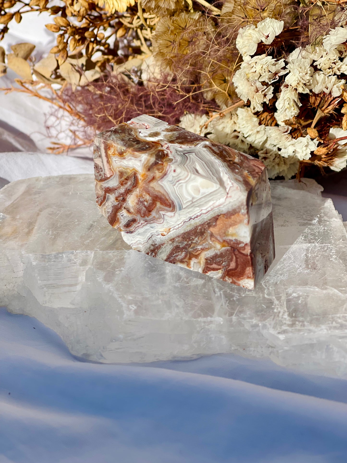 Mexican Lace Agate Freeform E