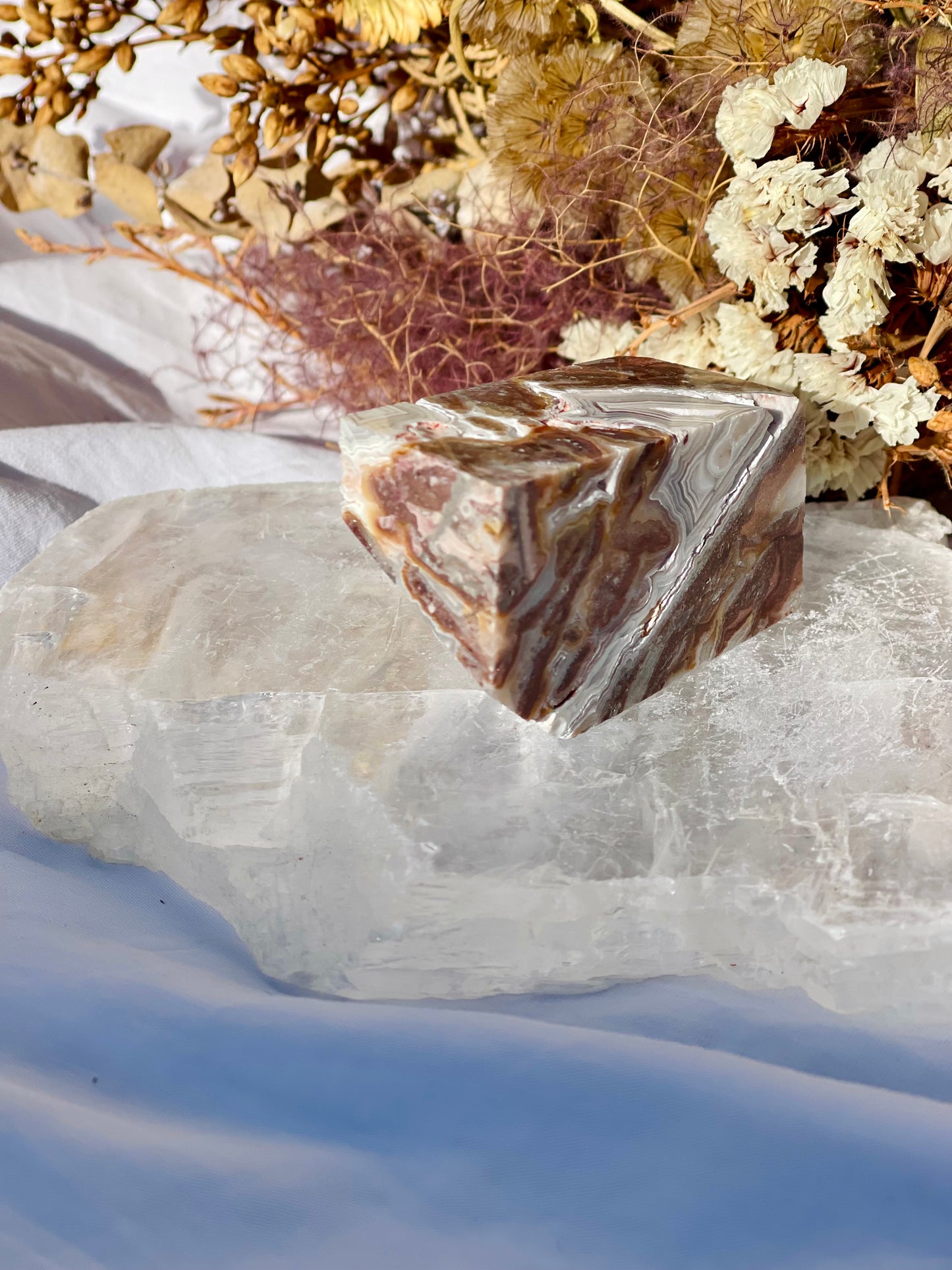 Mexican Lace Agate Freeform E