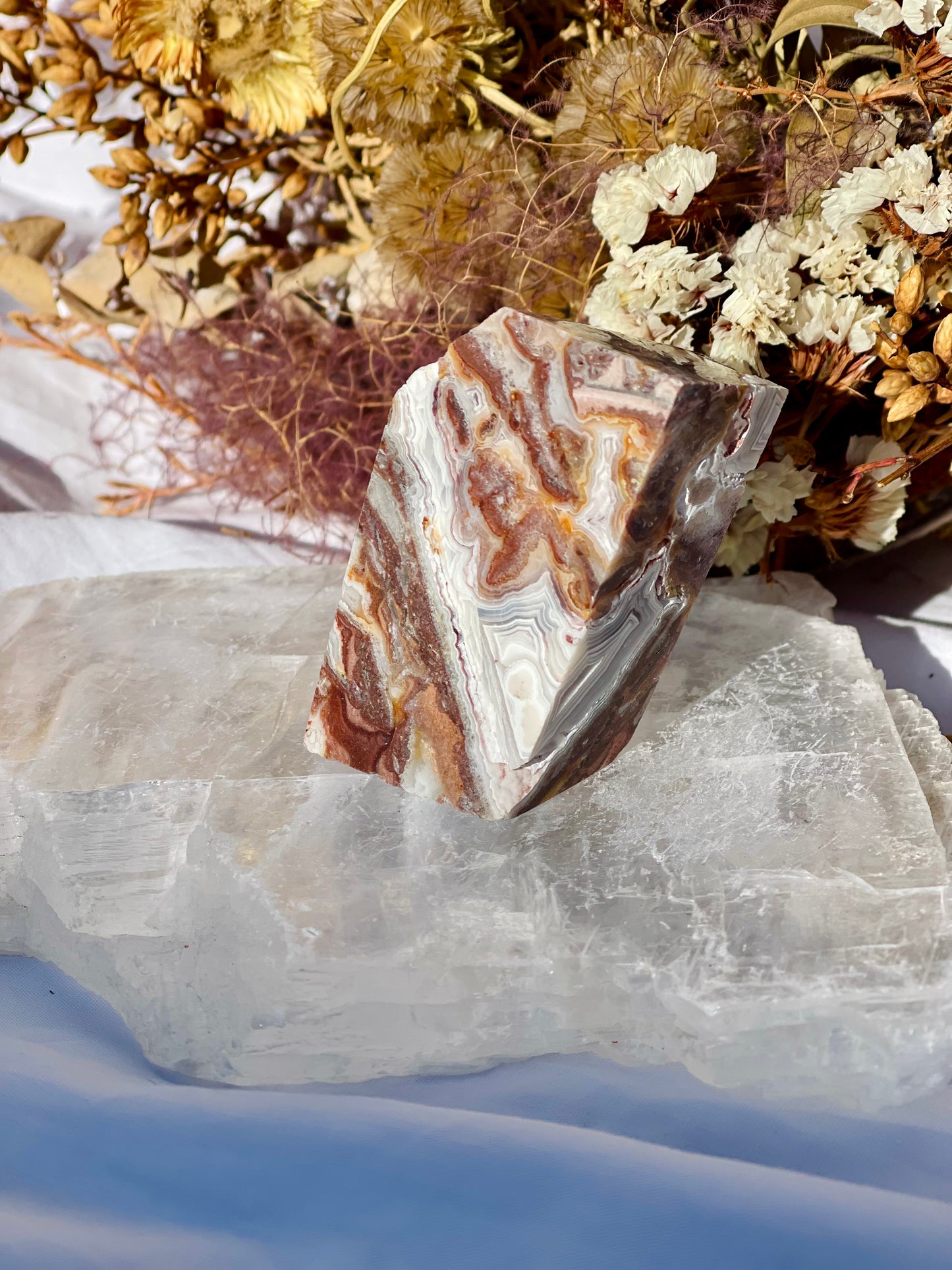 Mexican Lace Agate Freeform E