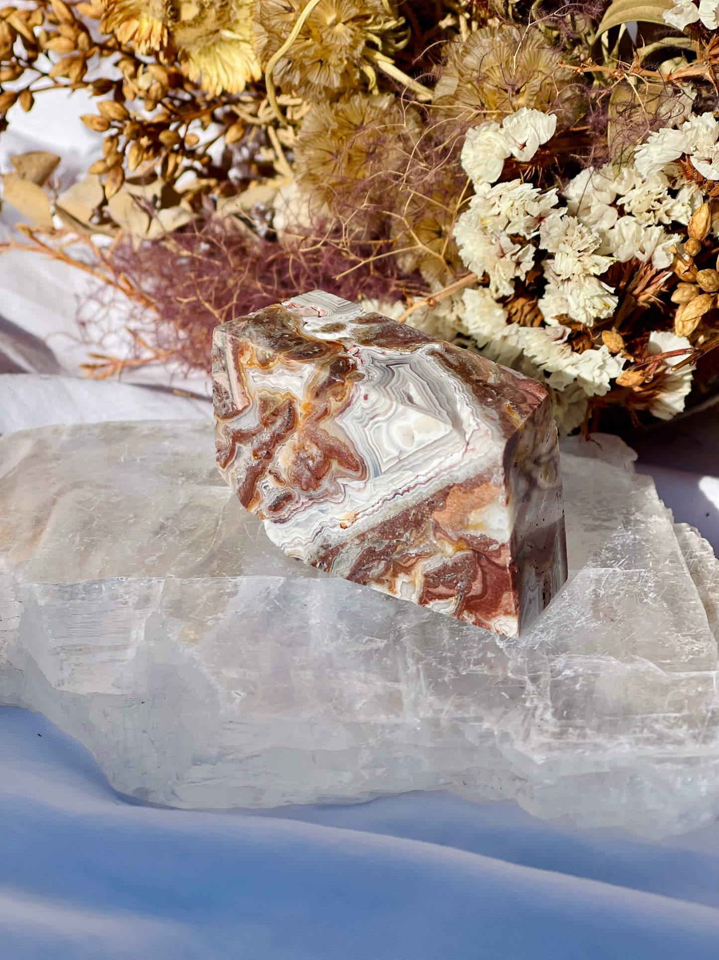 Mexican Lace Agate Freeform E