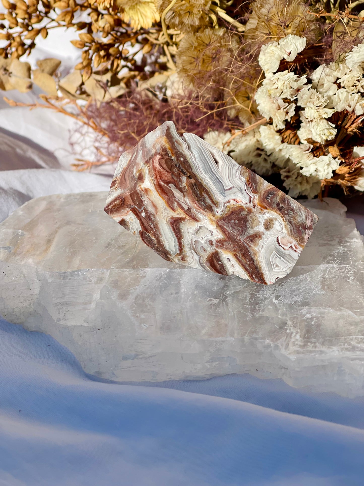 Mexican Lace Agate Freeform E