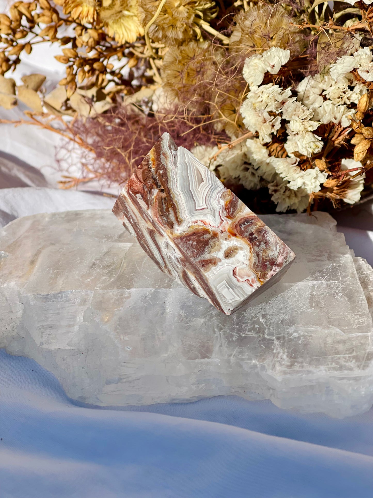 Mexican Lace Agate Freeform E