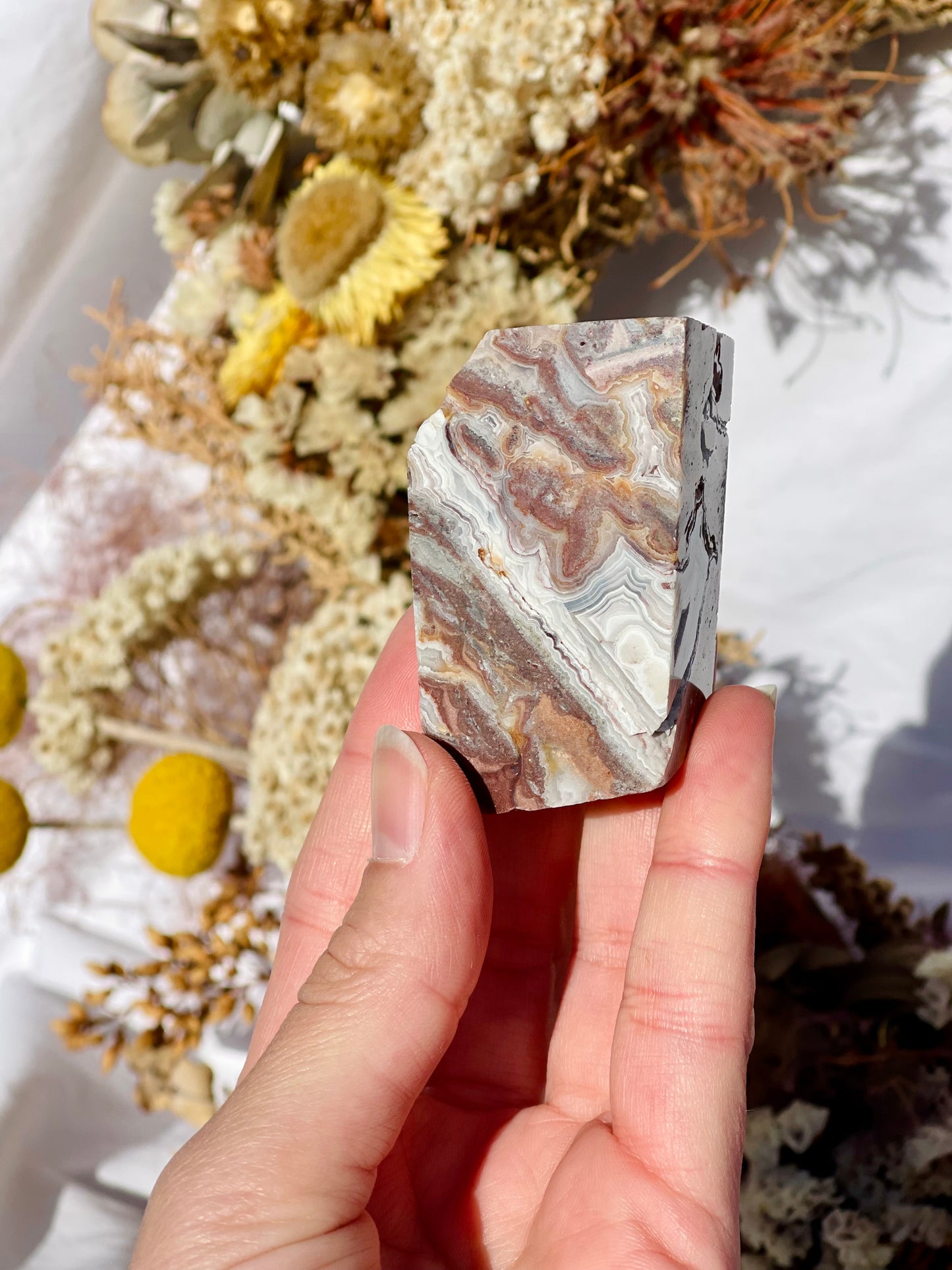 Mexican Lace Agate Freeform E