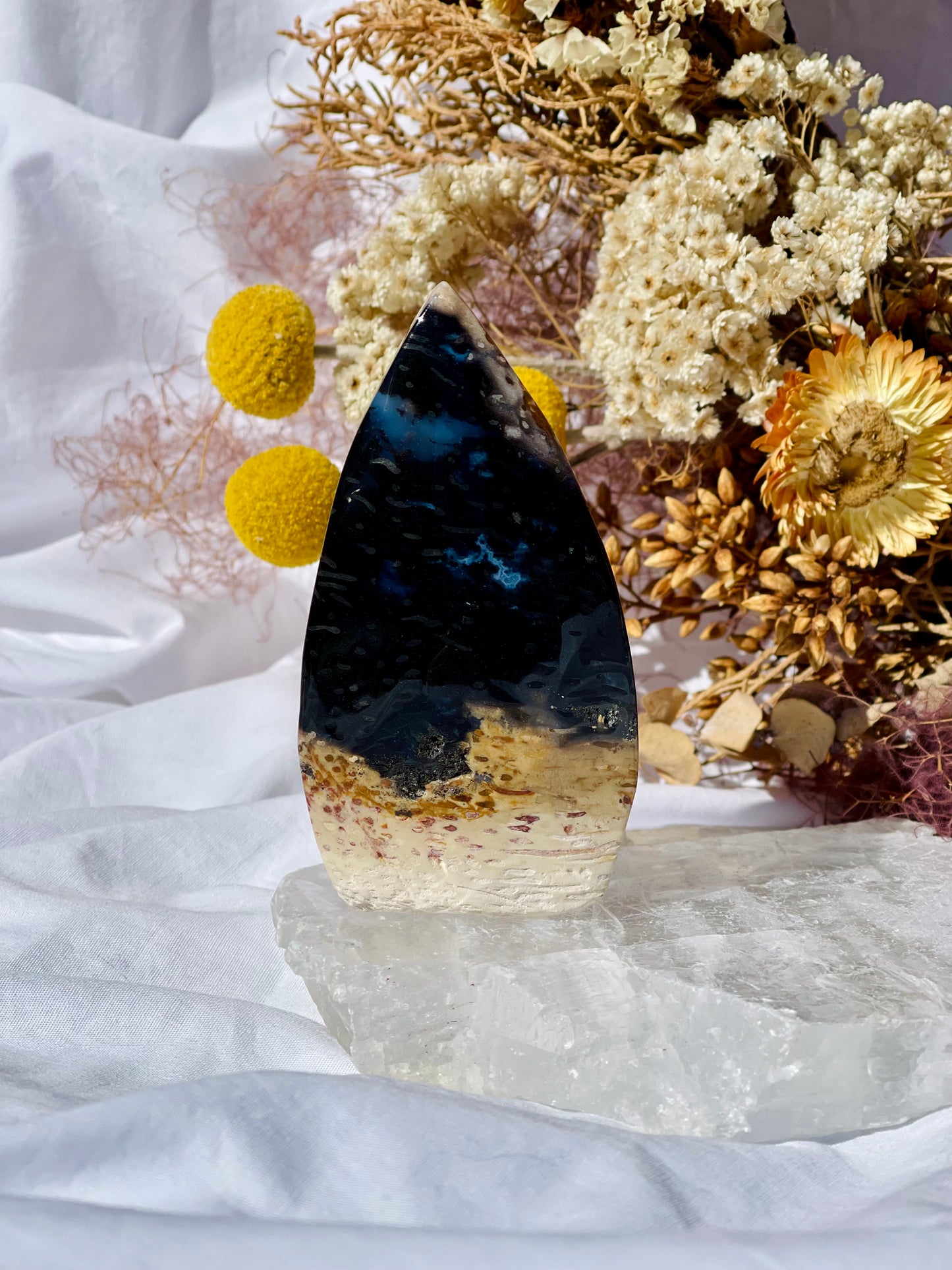 Petrified Palm Root Flame A