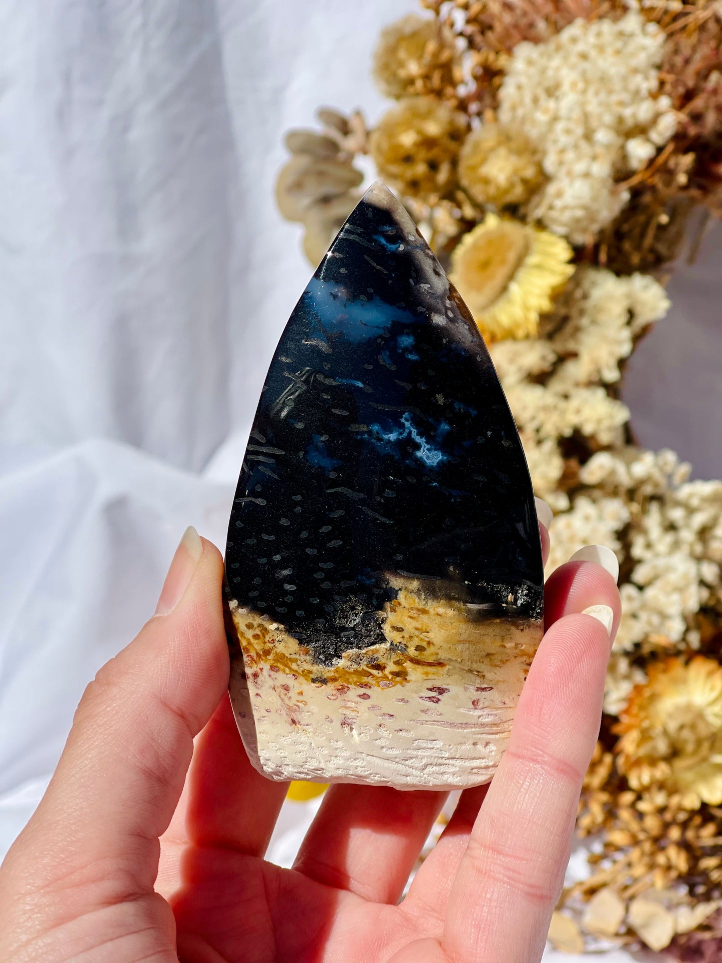 Petrified Palm Root Flame A