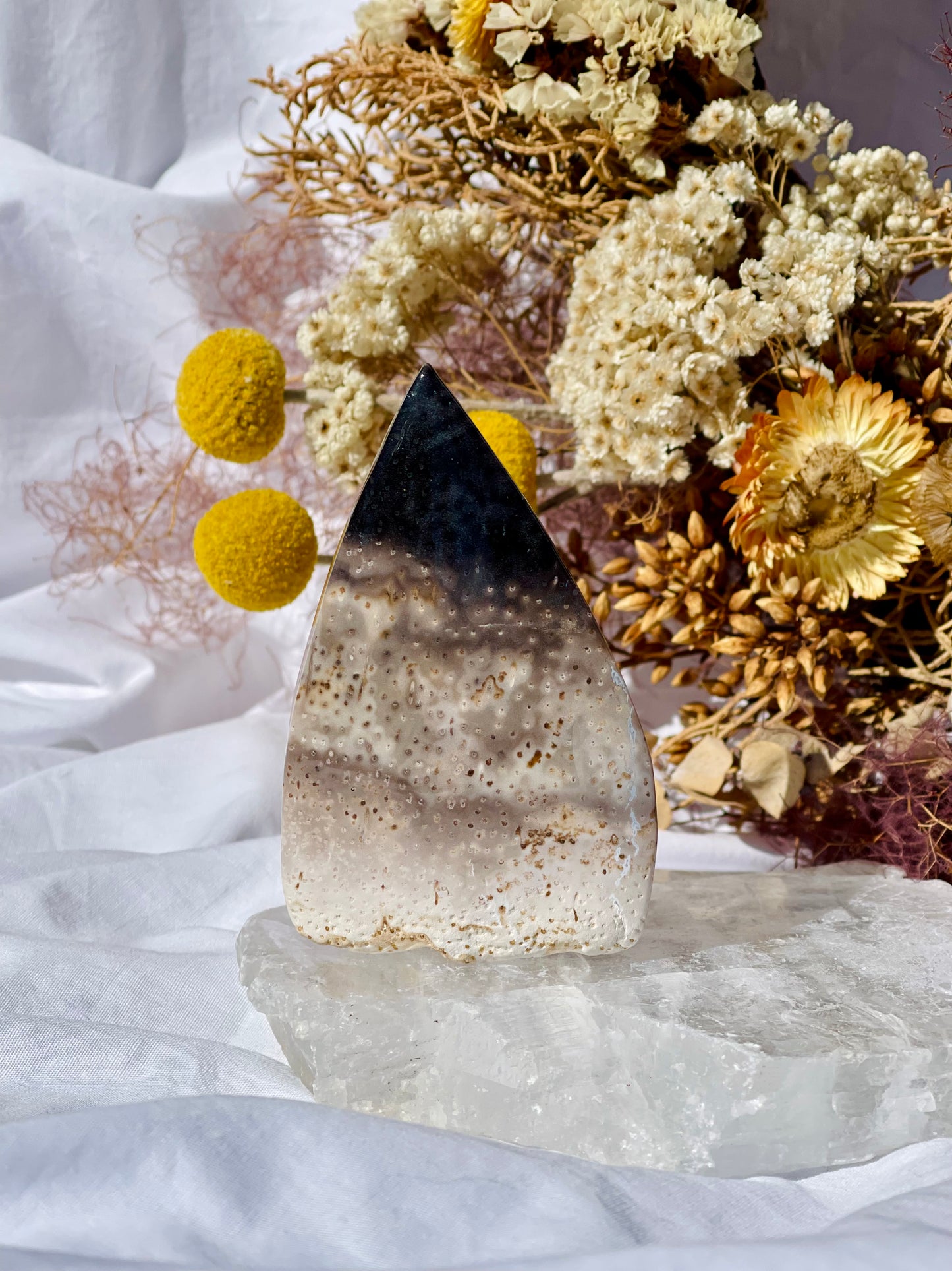 Petrified Palm Root Flame B