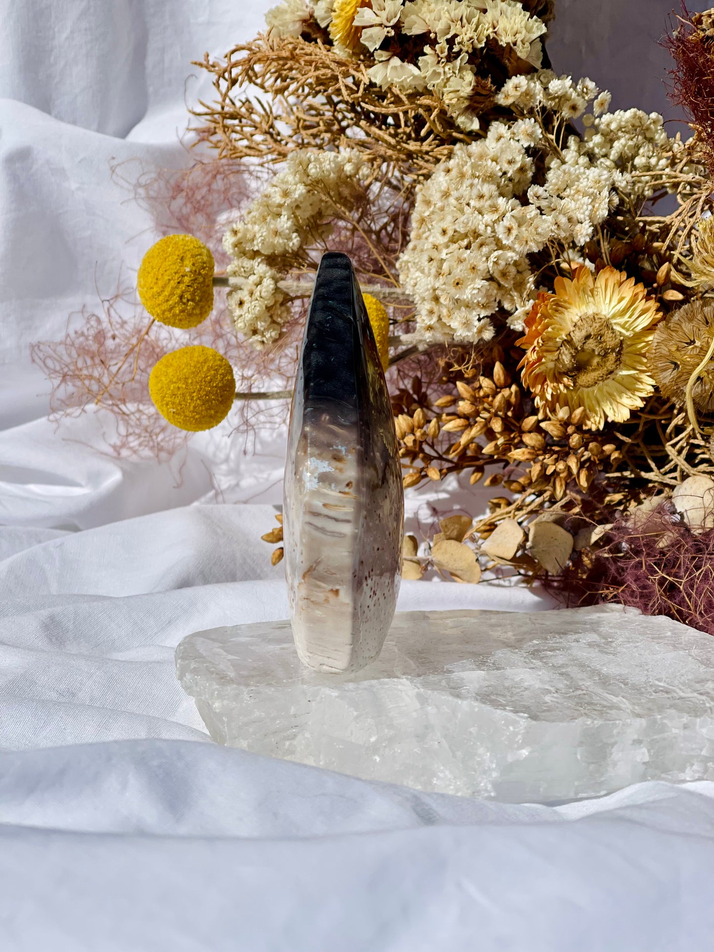 Petrified Palm Root Flame B