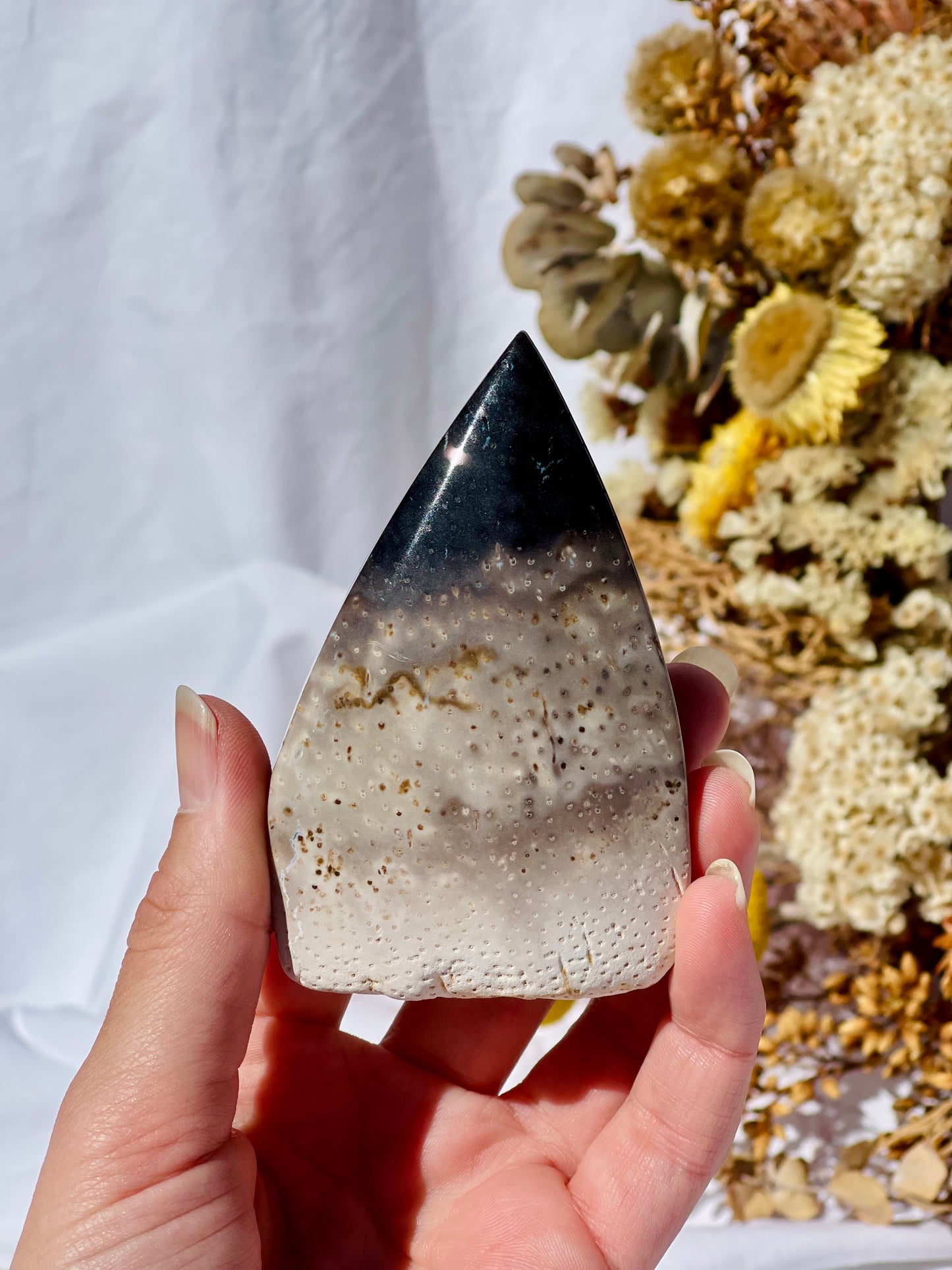 Petrified Palm Root Flame B