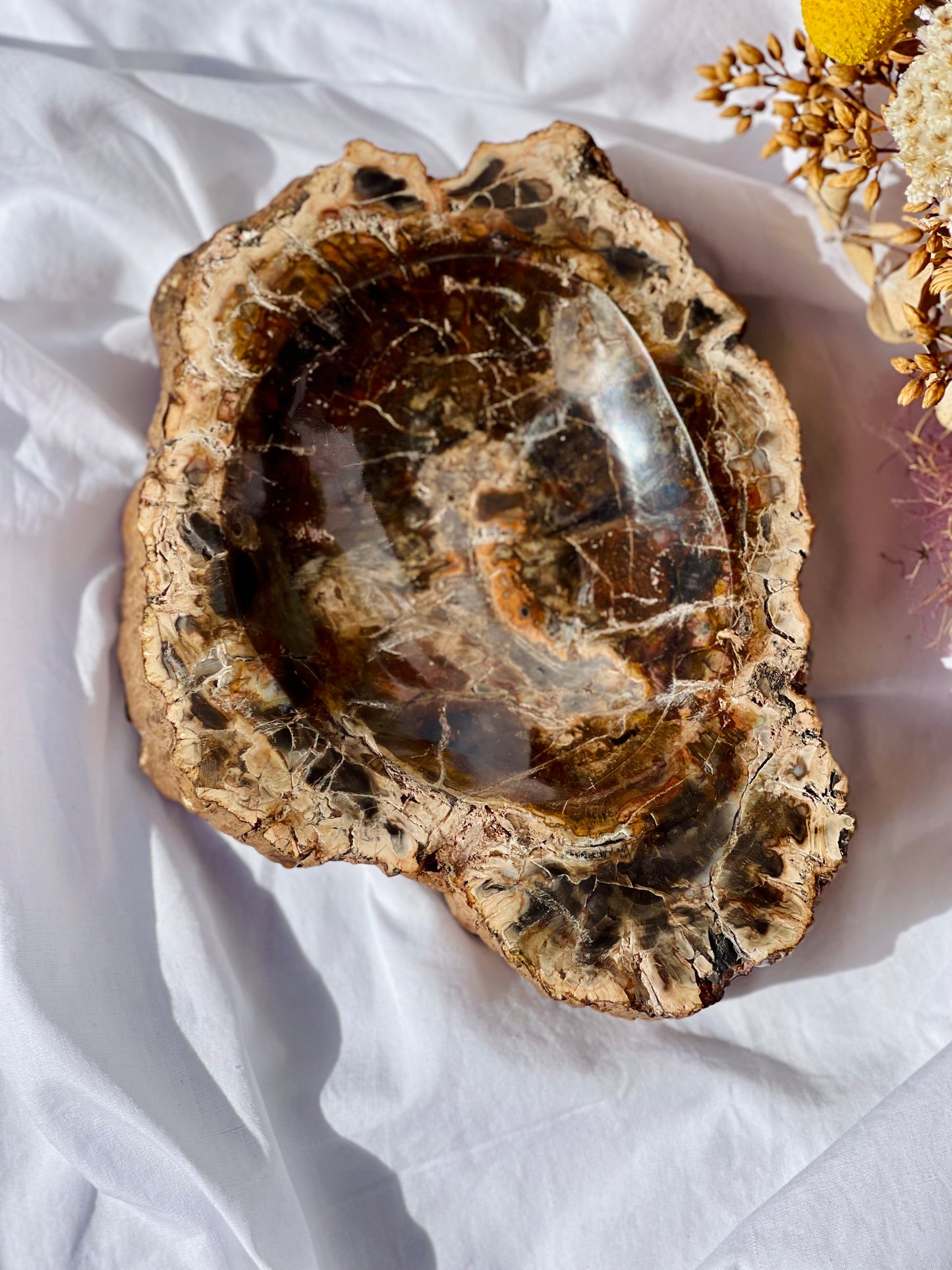 Petrified Wood Bowl