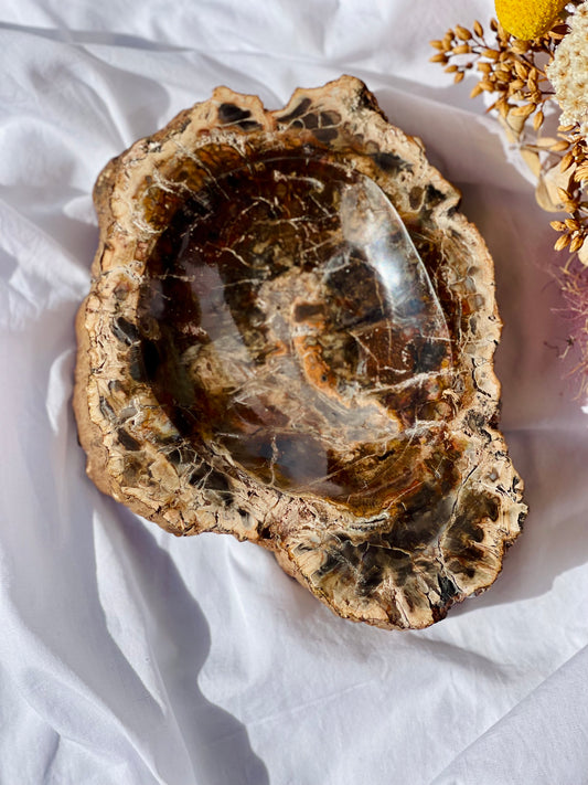 Petrified Wood Bowl