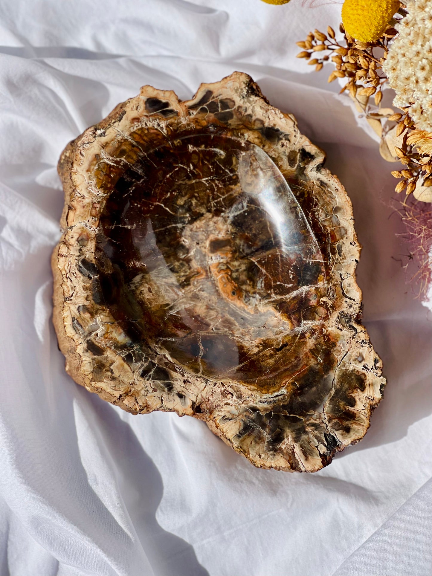 Petrified Wood Bowl