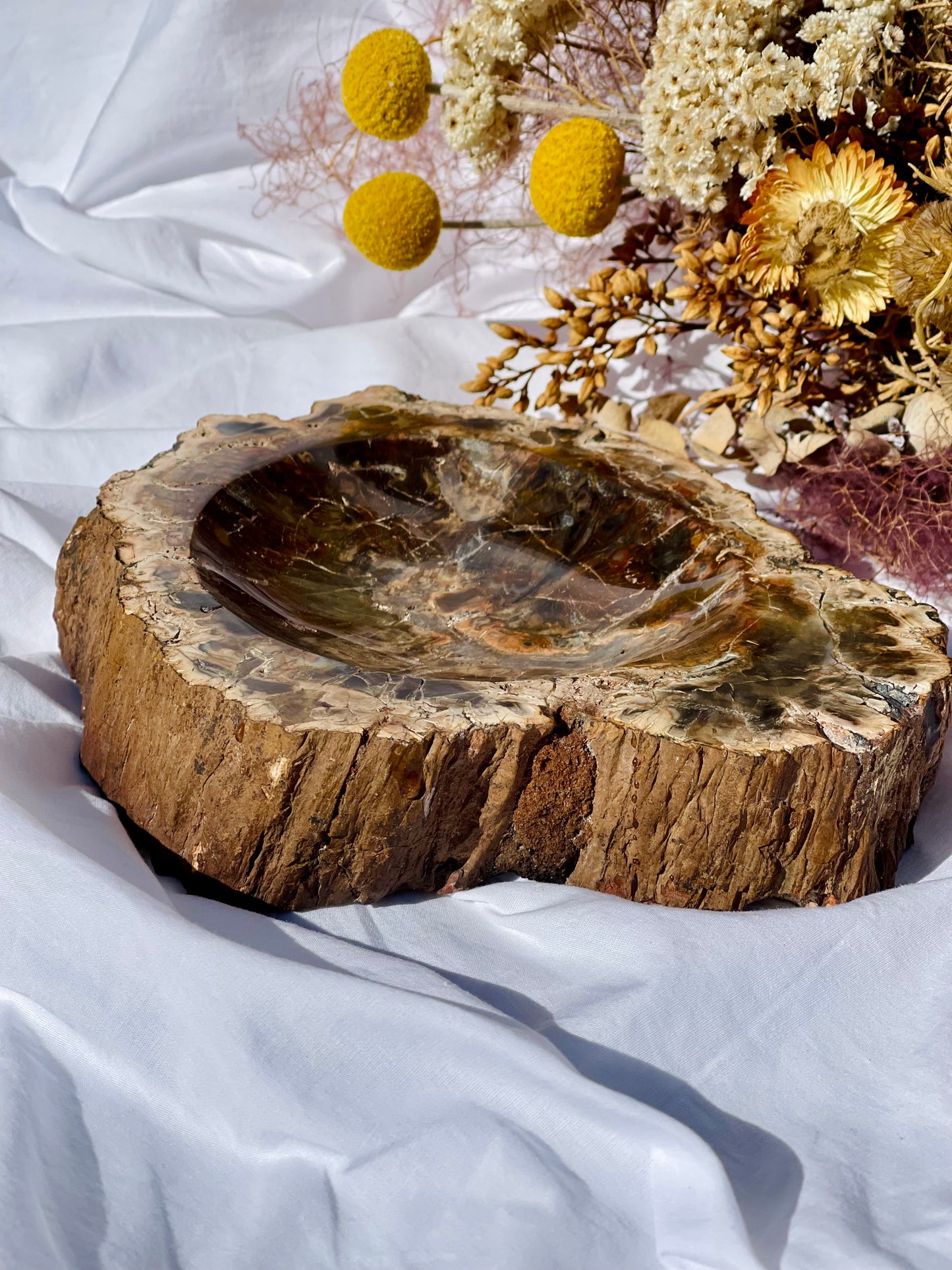 Petrified Wood Bowl