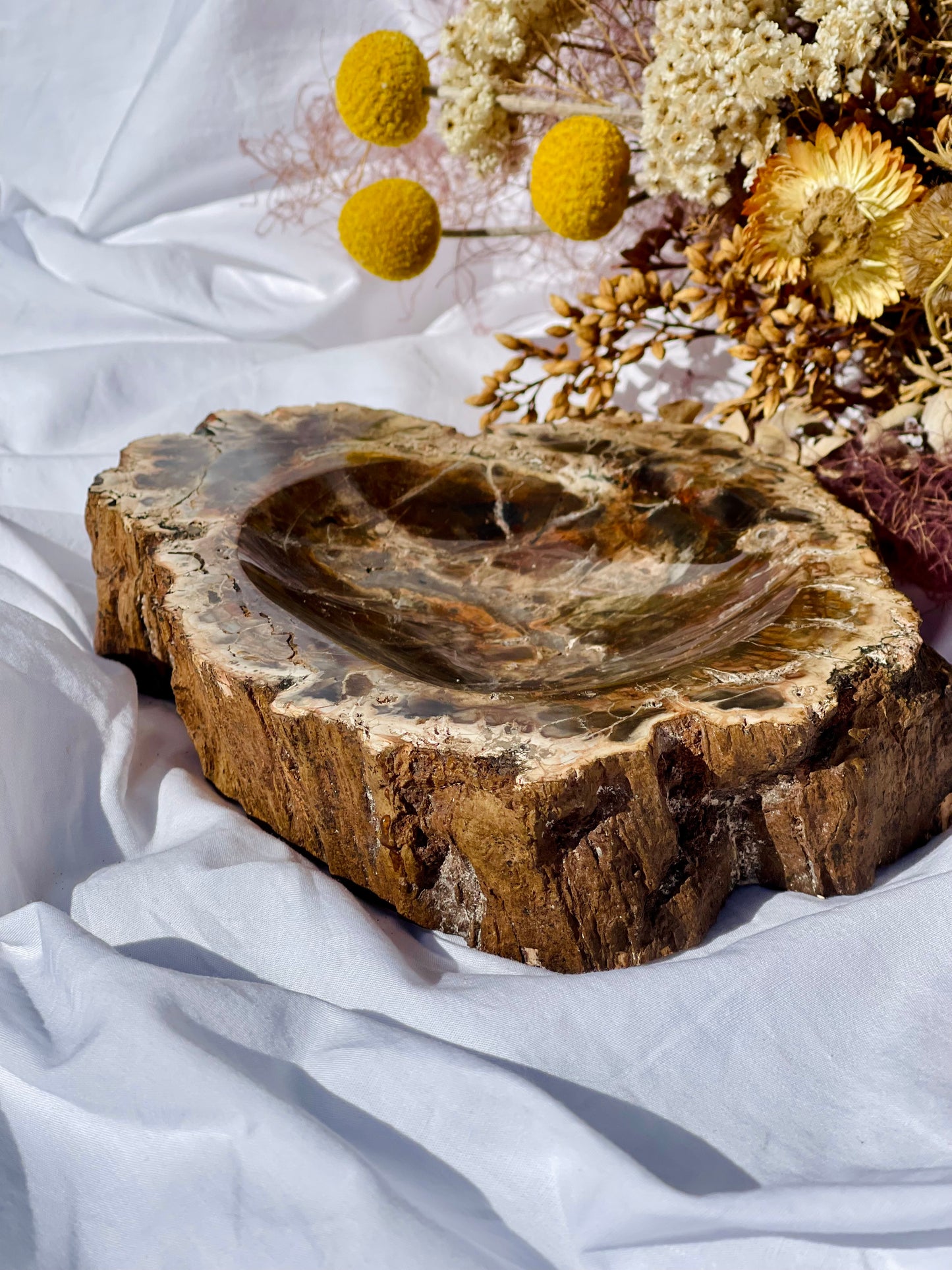 Petrified Wood Bowl