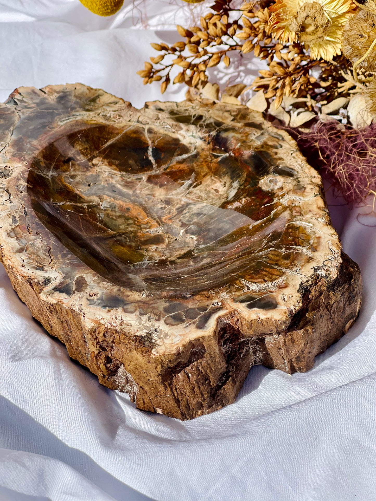 Petrified Wood Bowl
