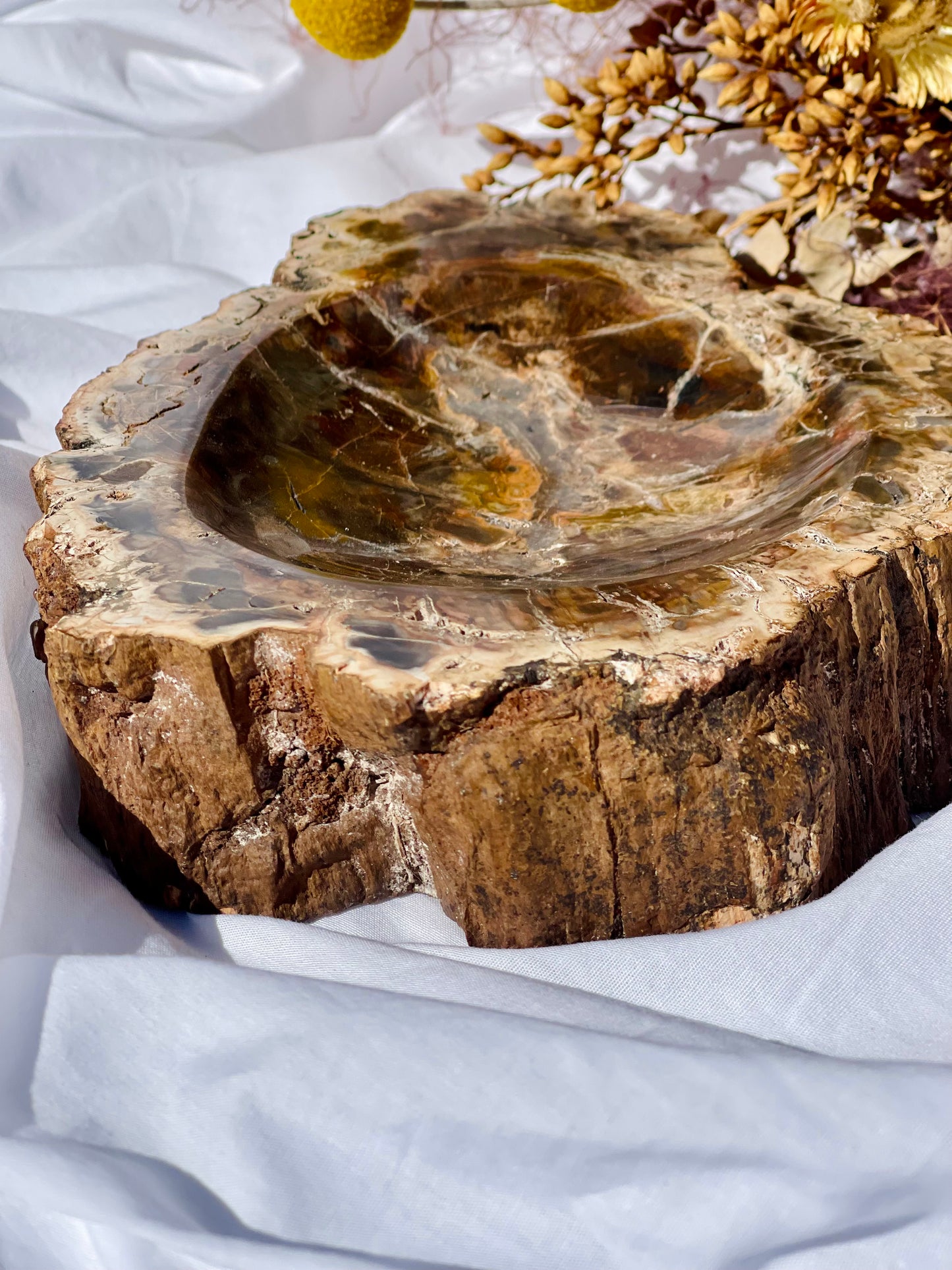 Petrified Wood Bowl