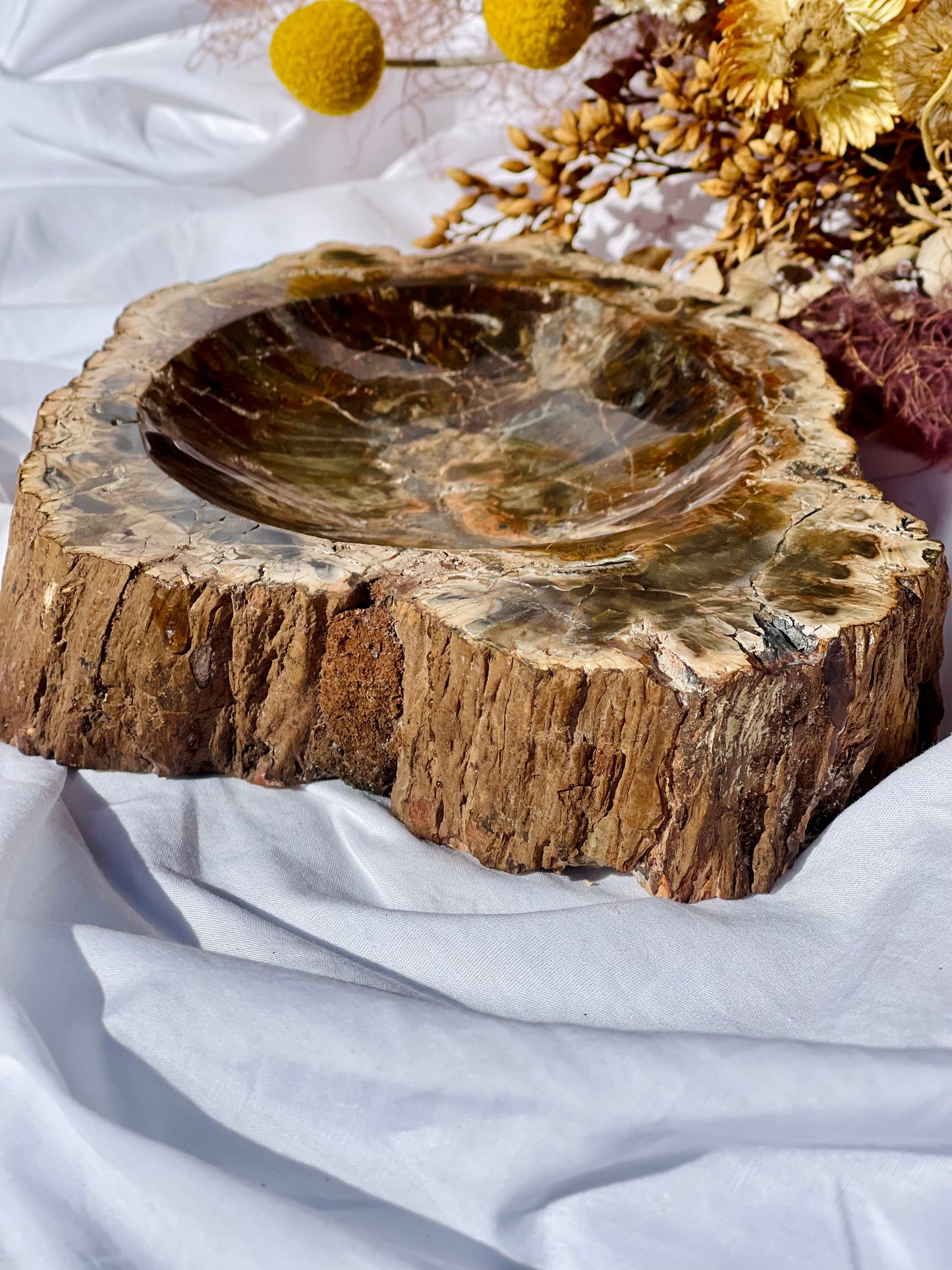 Petrified Wood Bowl