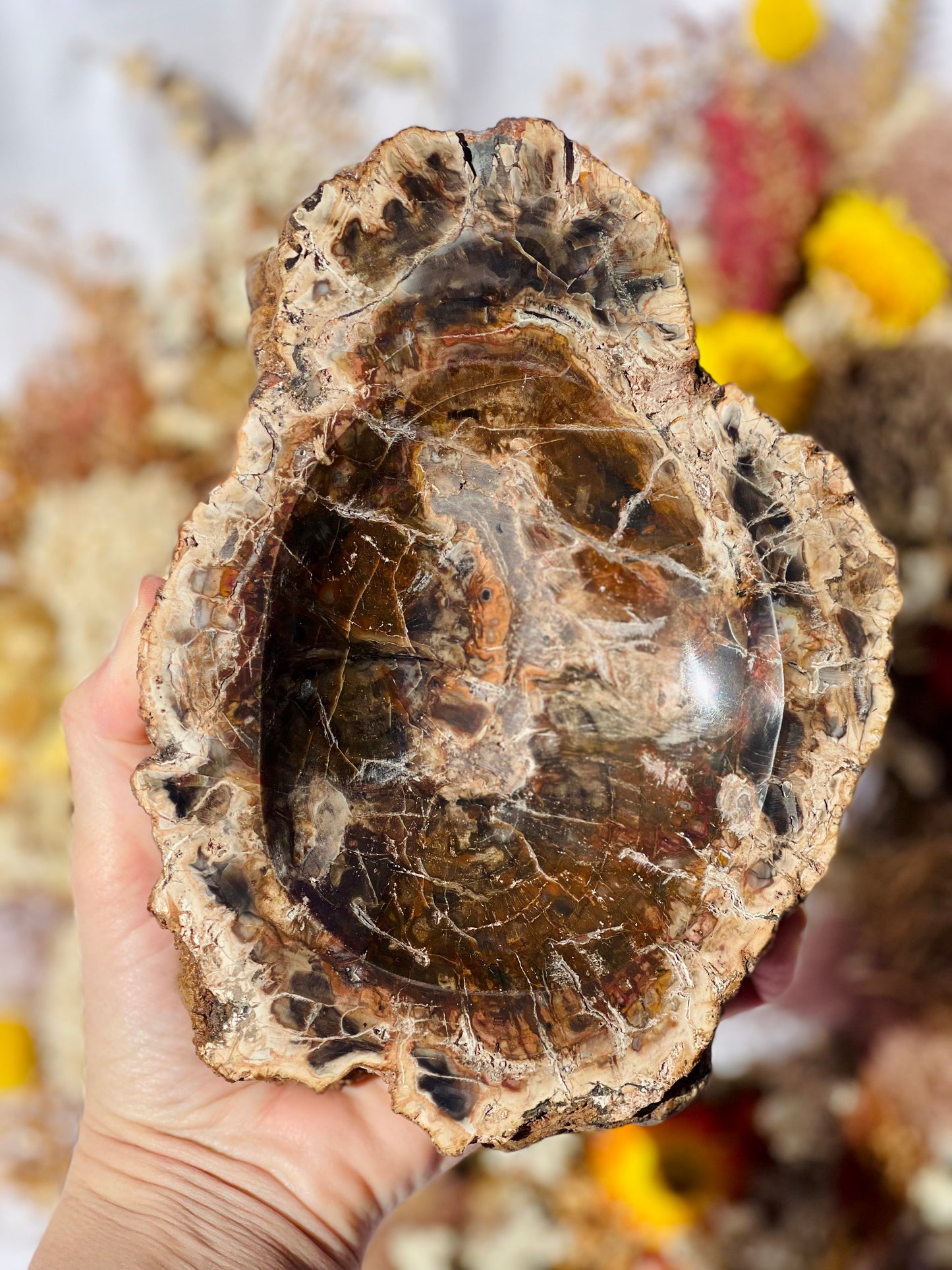 Petrified Wood Bowl